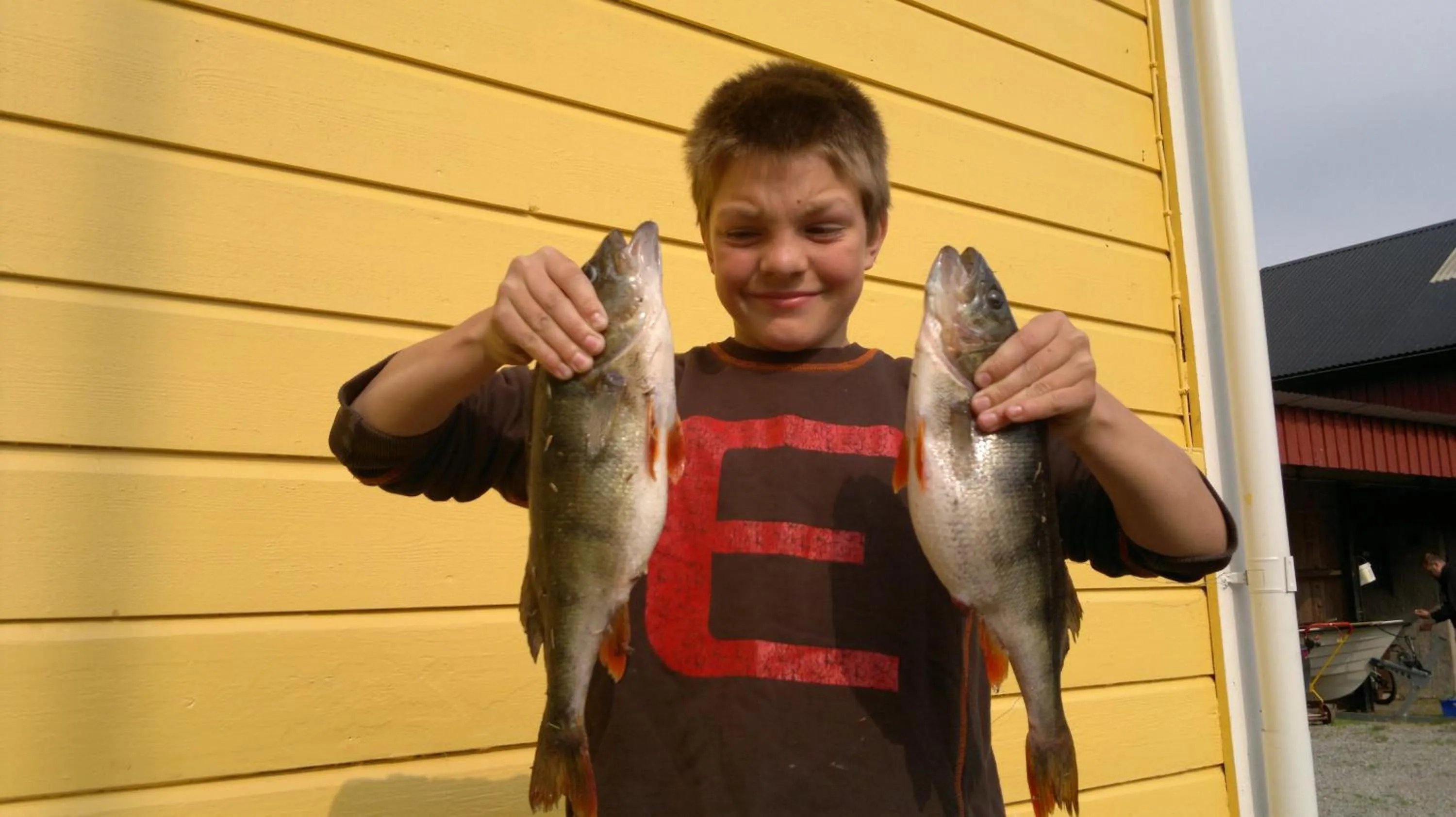 Fishing in Älgbergets Bed & Breakfast