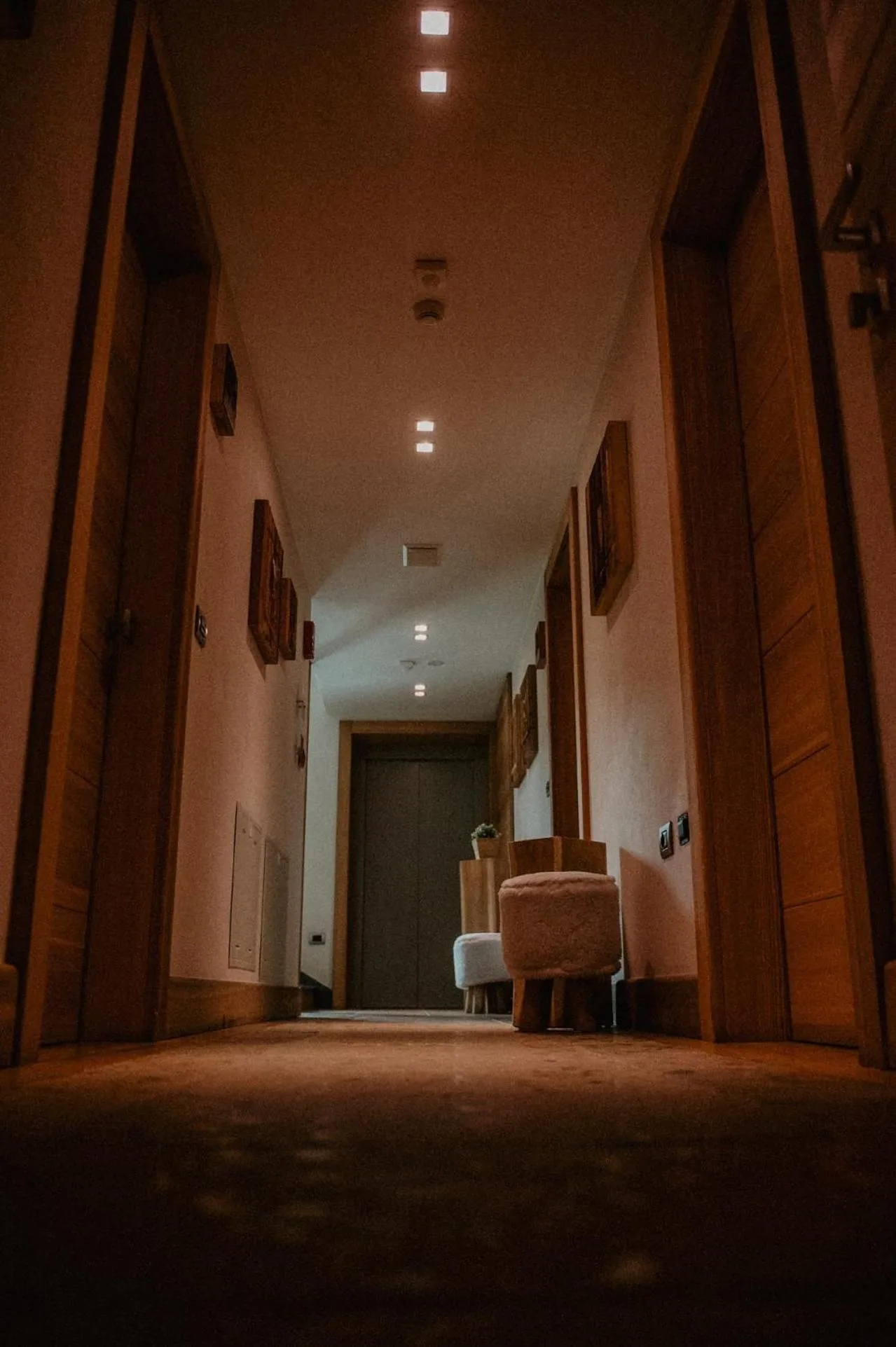 Area and facilities in Hotel Larice