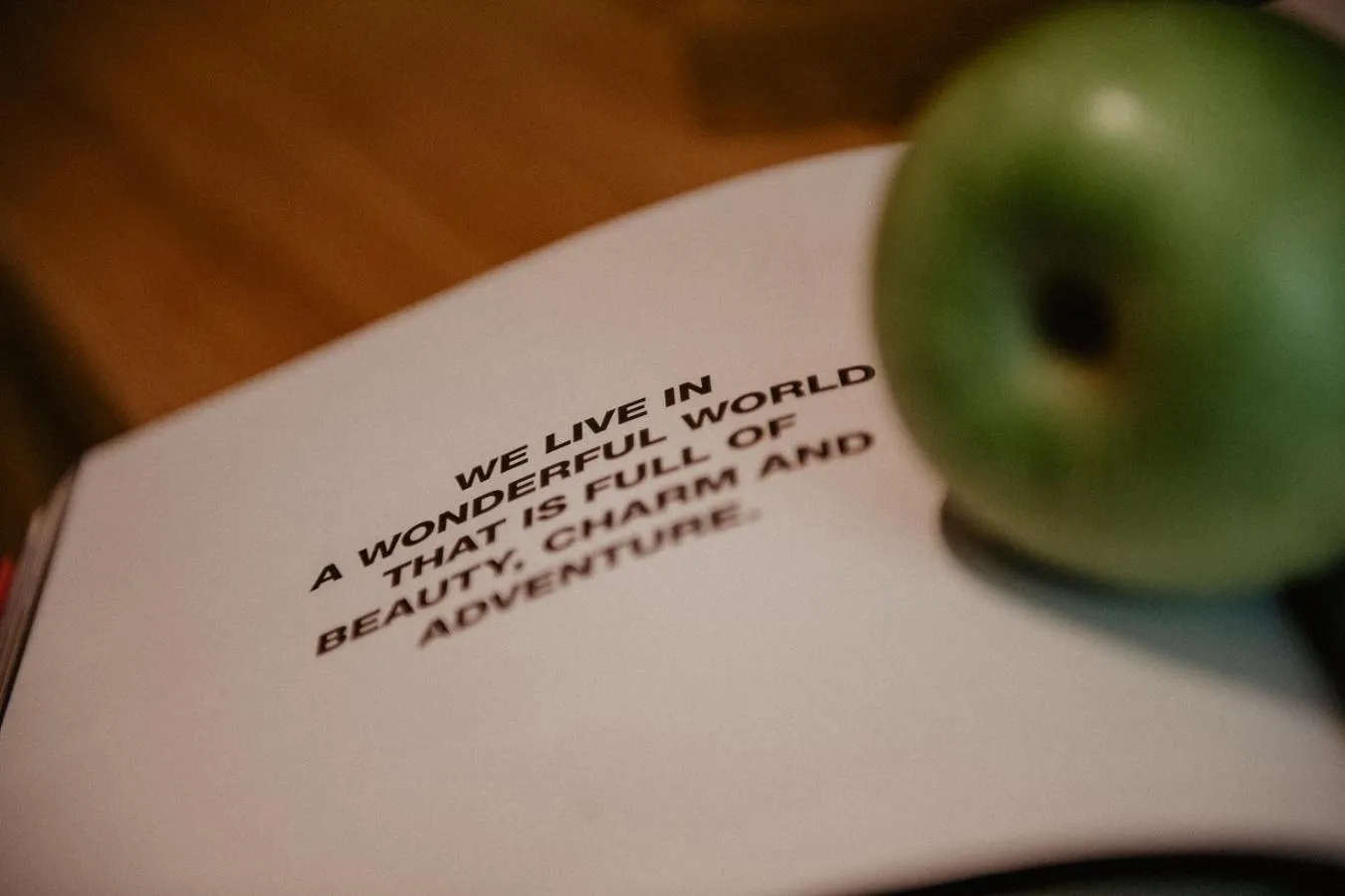 Decorative detail in Hotel Larice