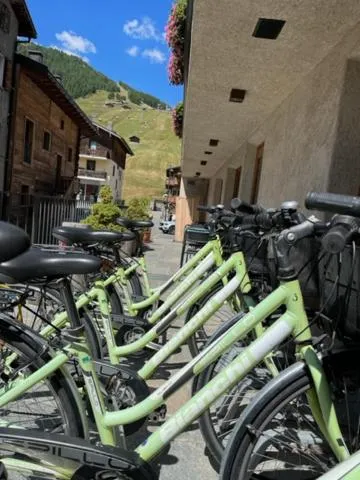 Cycling in Hotel Larice