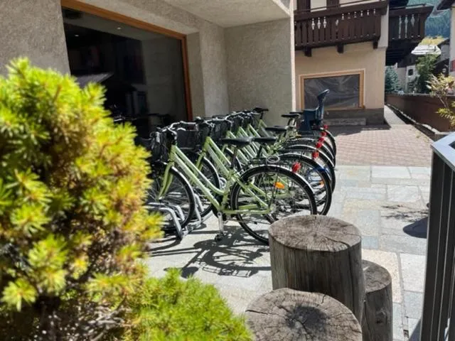 Cycling in Hotel Larice