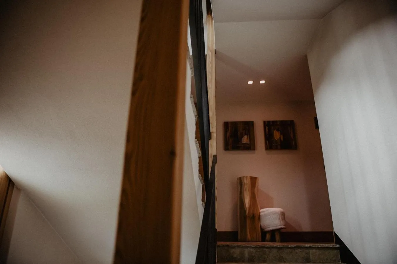 Area and facilities in Hotel Larice