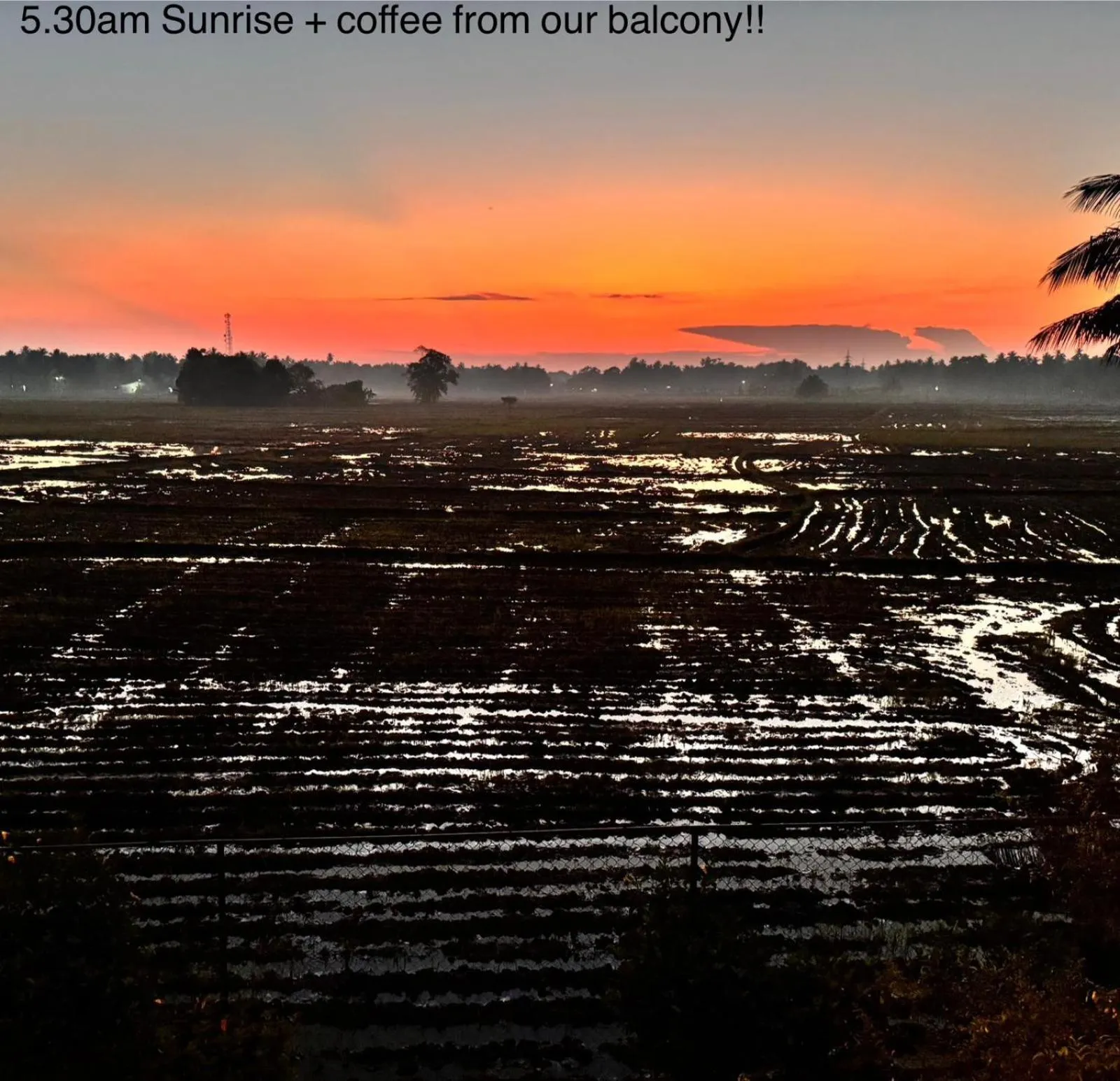 Lavender Home Yala Safari