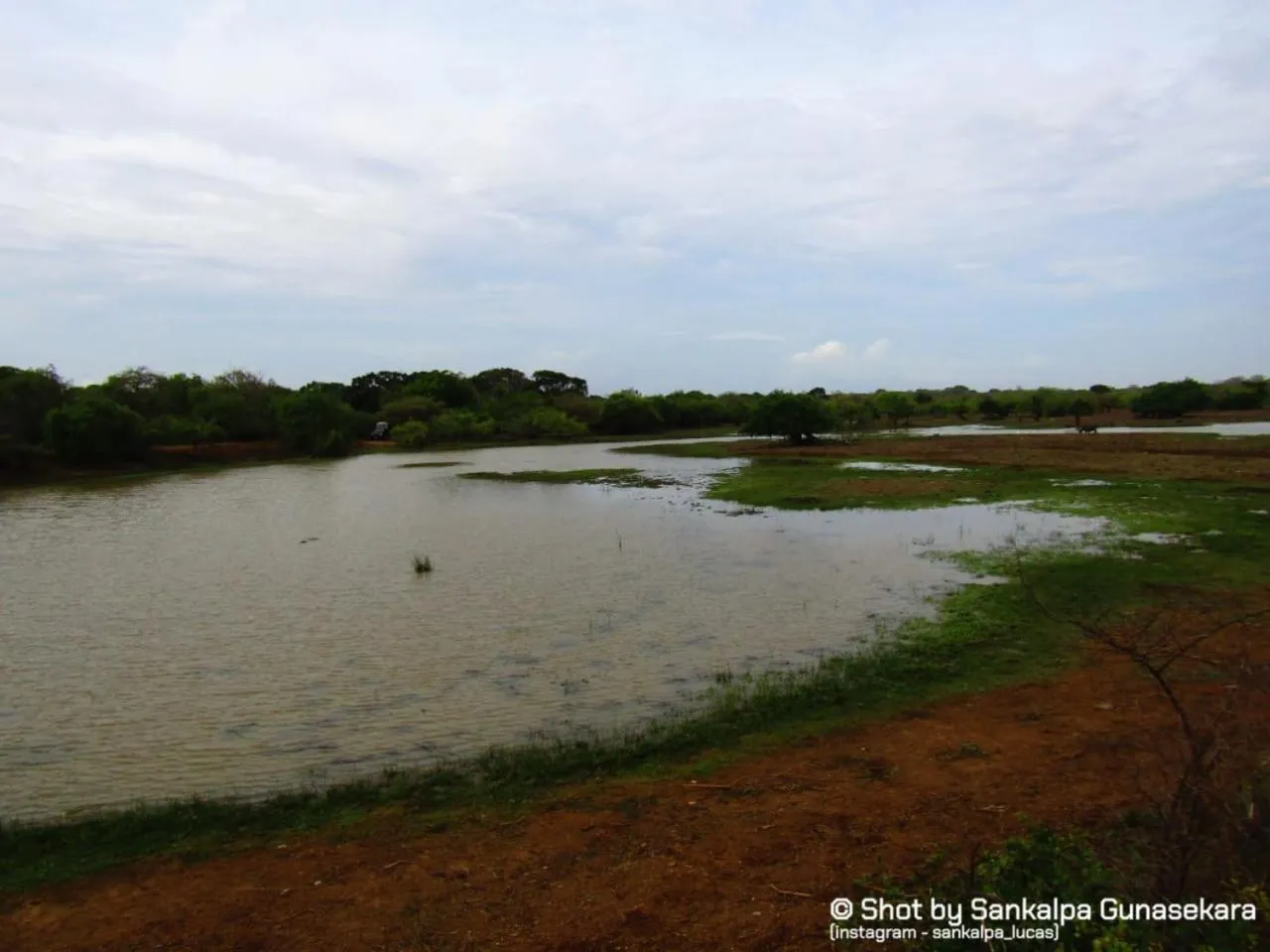 Natural landscape in Lavender Home Yala Safari