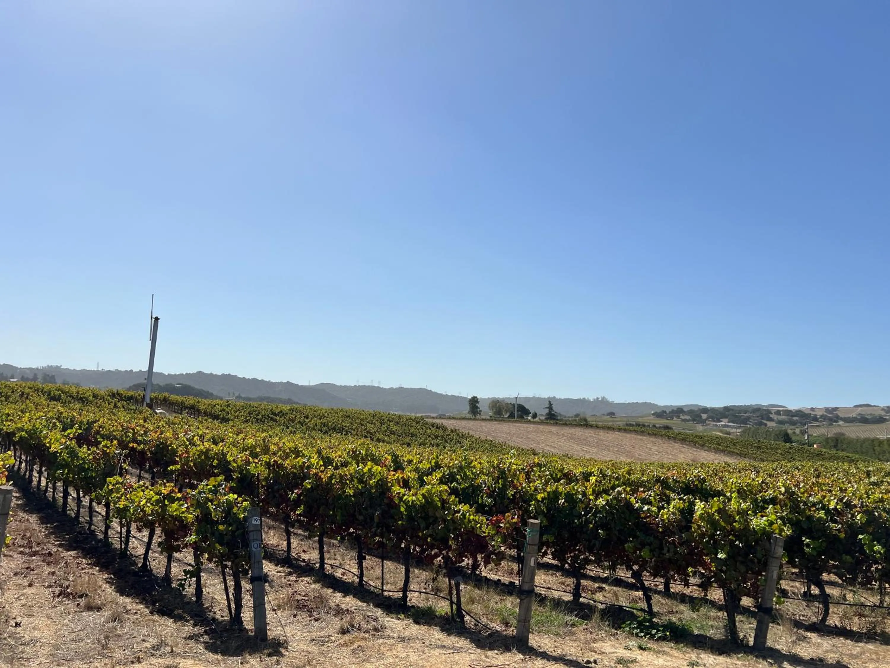 Other in Hotel Calle Joaquin - San Luis Obispo