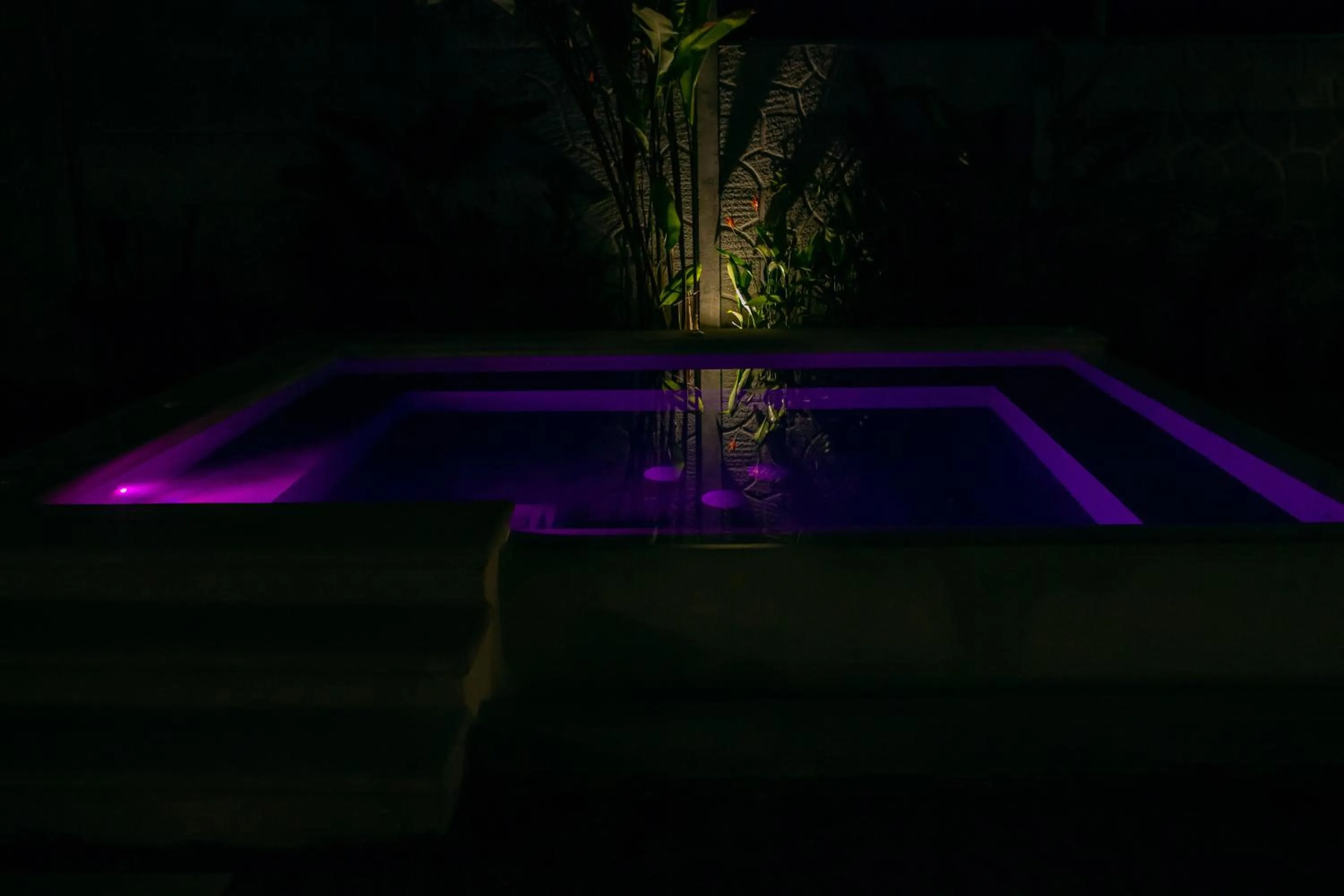 Swimming pool in Uvita Paradise