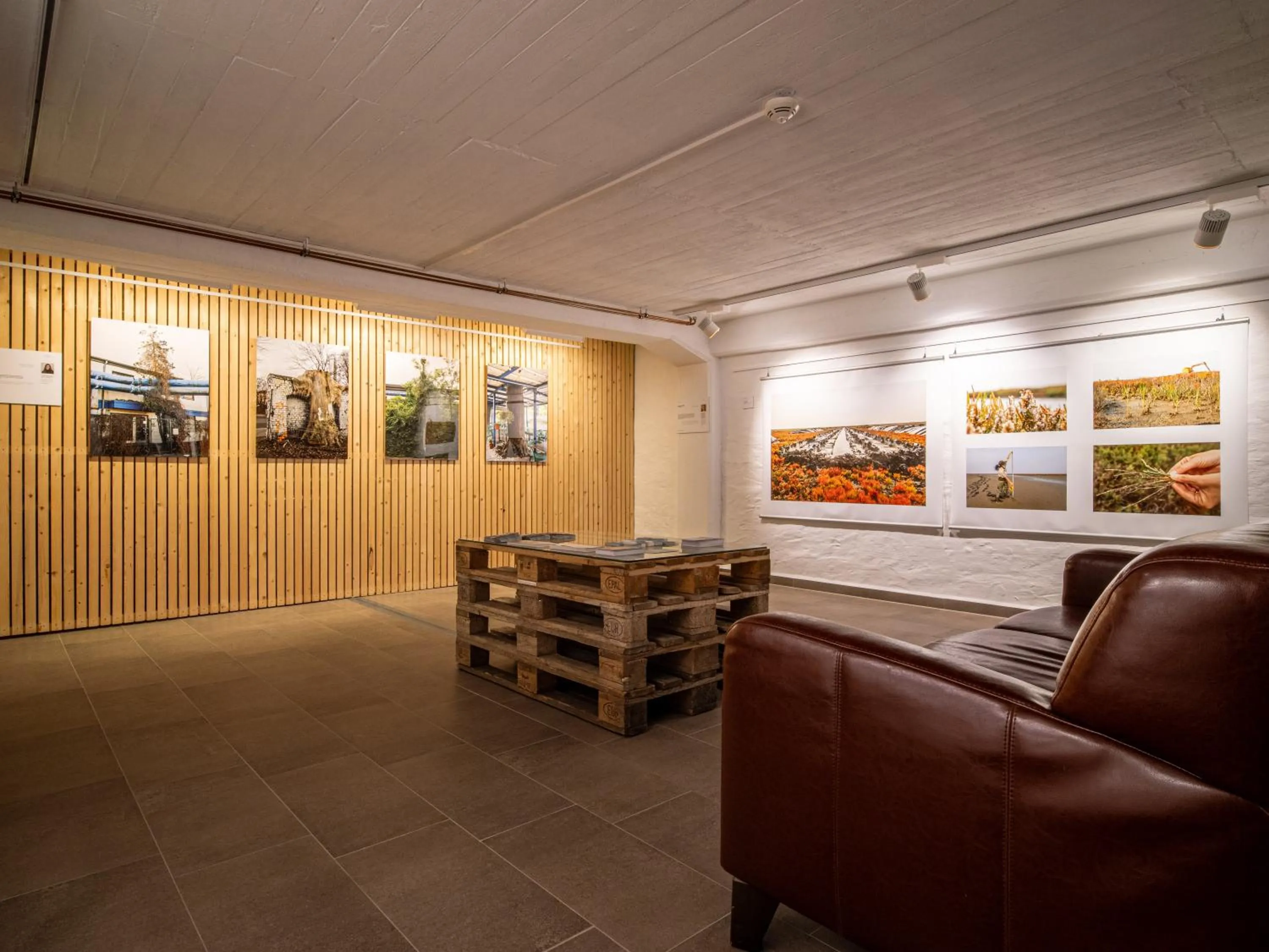 Decorative detail in Hotel Stone