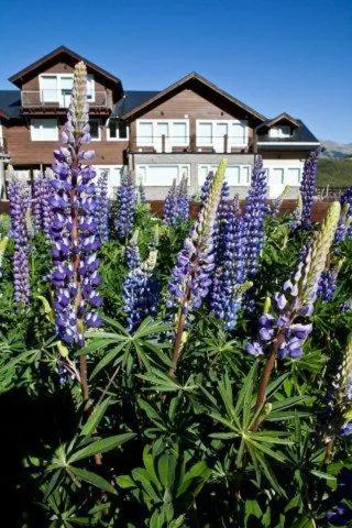 Property building in Ski Sur Apartments