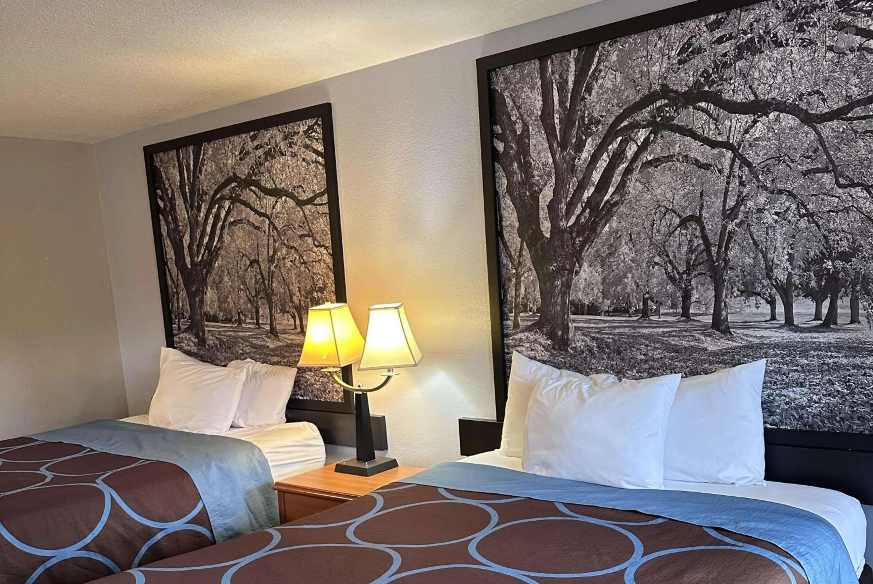 Photo of the whole room, Bed in Super 8 by Wyndham Vancouver East