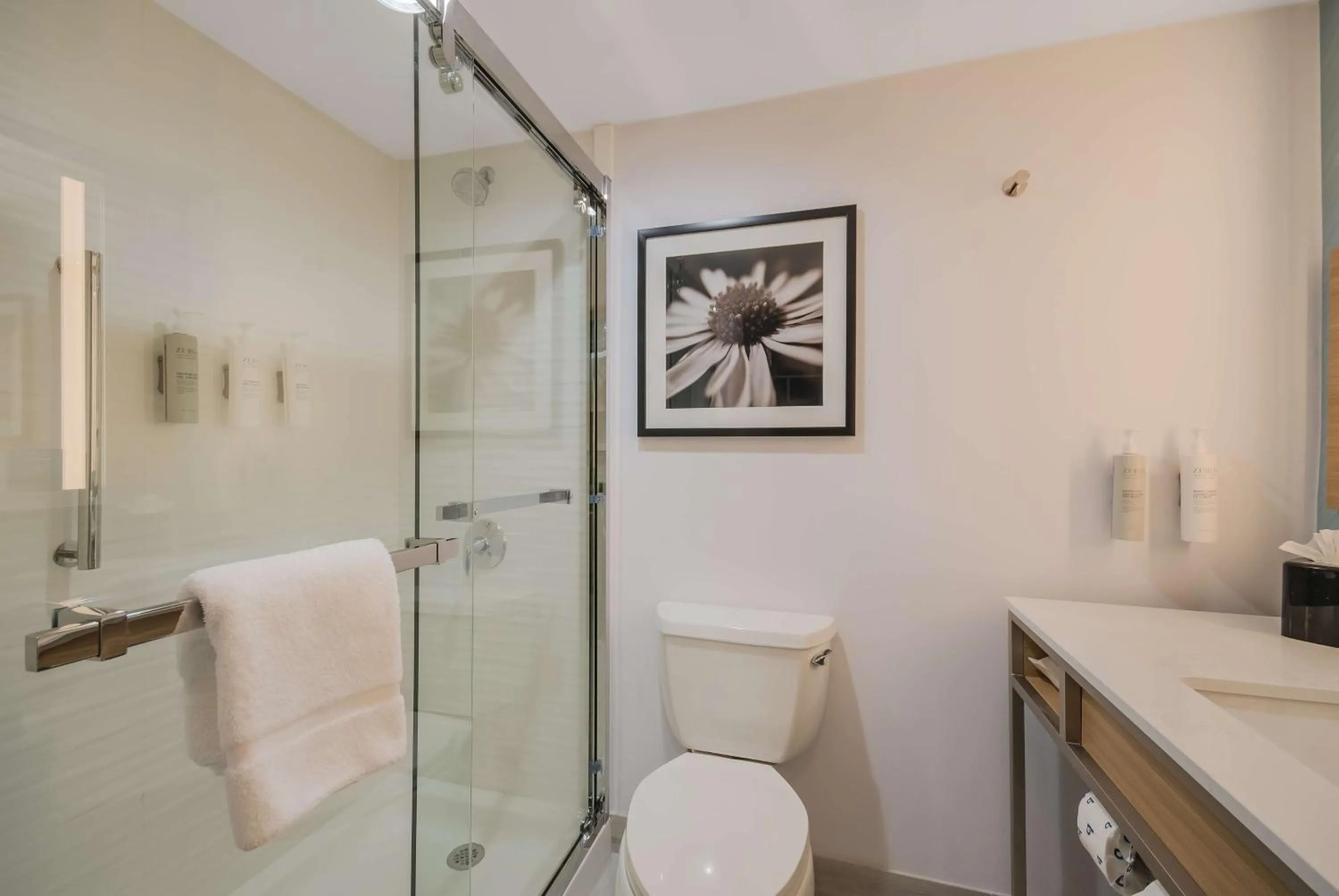 Bathroom in Hilton Garden Inn Oklahoma City Midtown