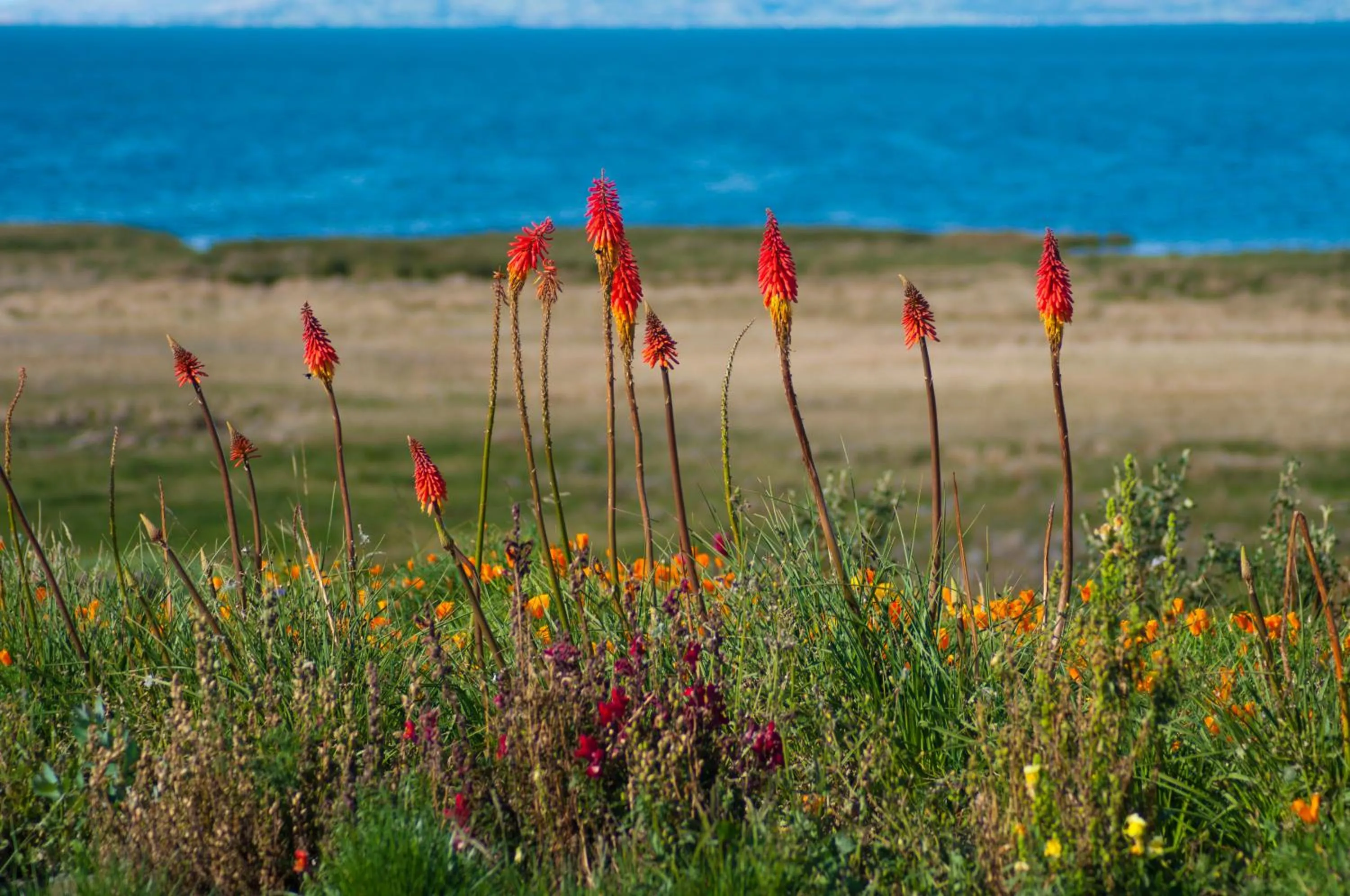 View (from property/room) in Taypikala Lago