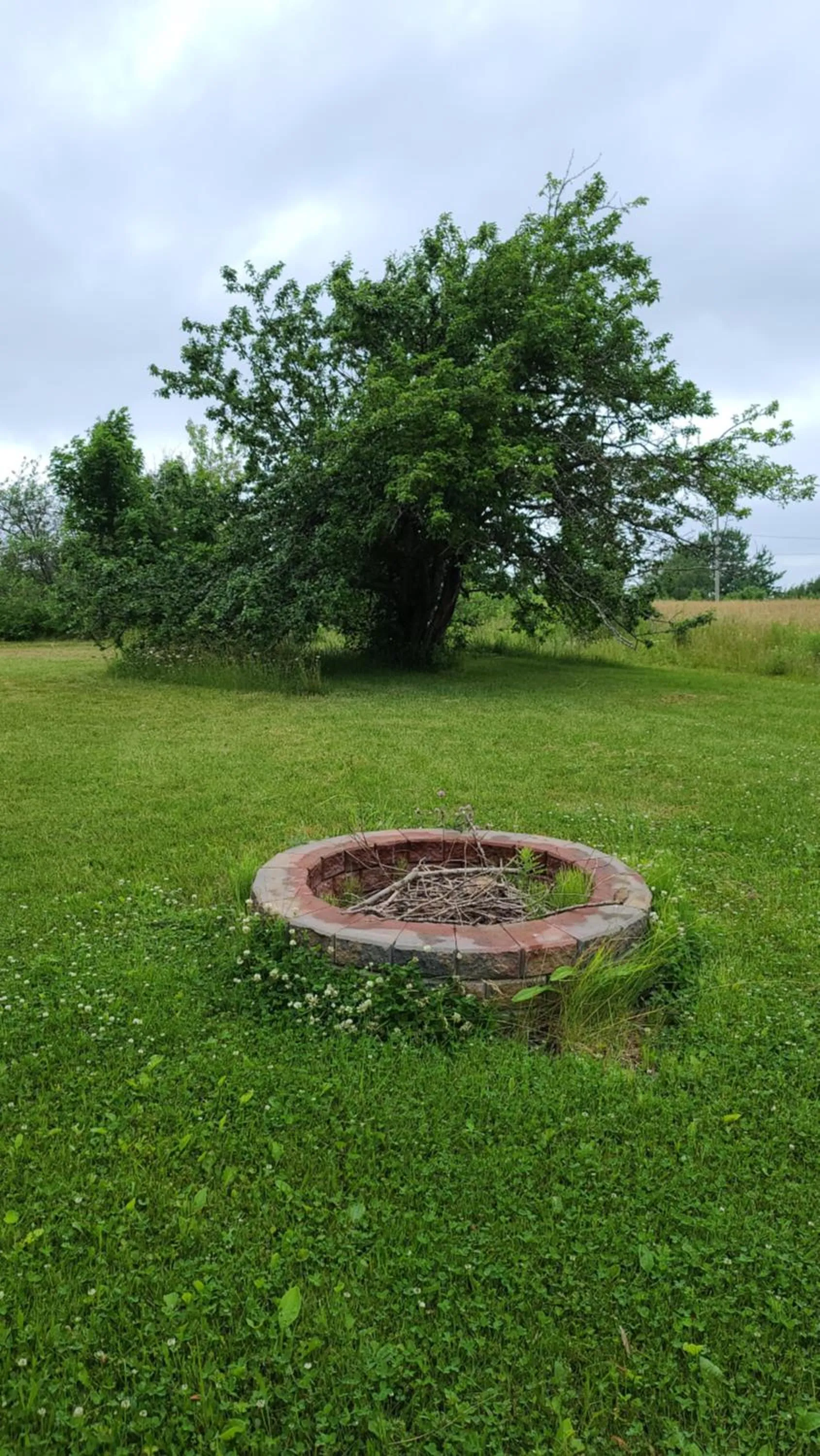 Garden in Bouctouche Bay Inn
