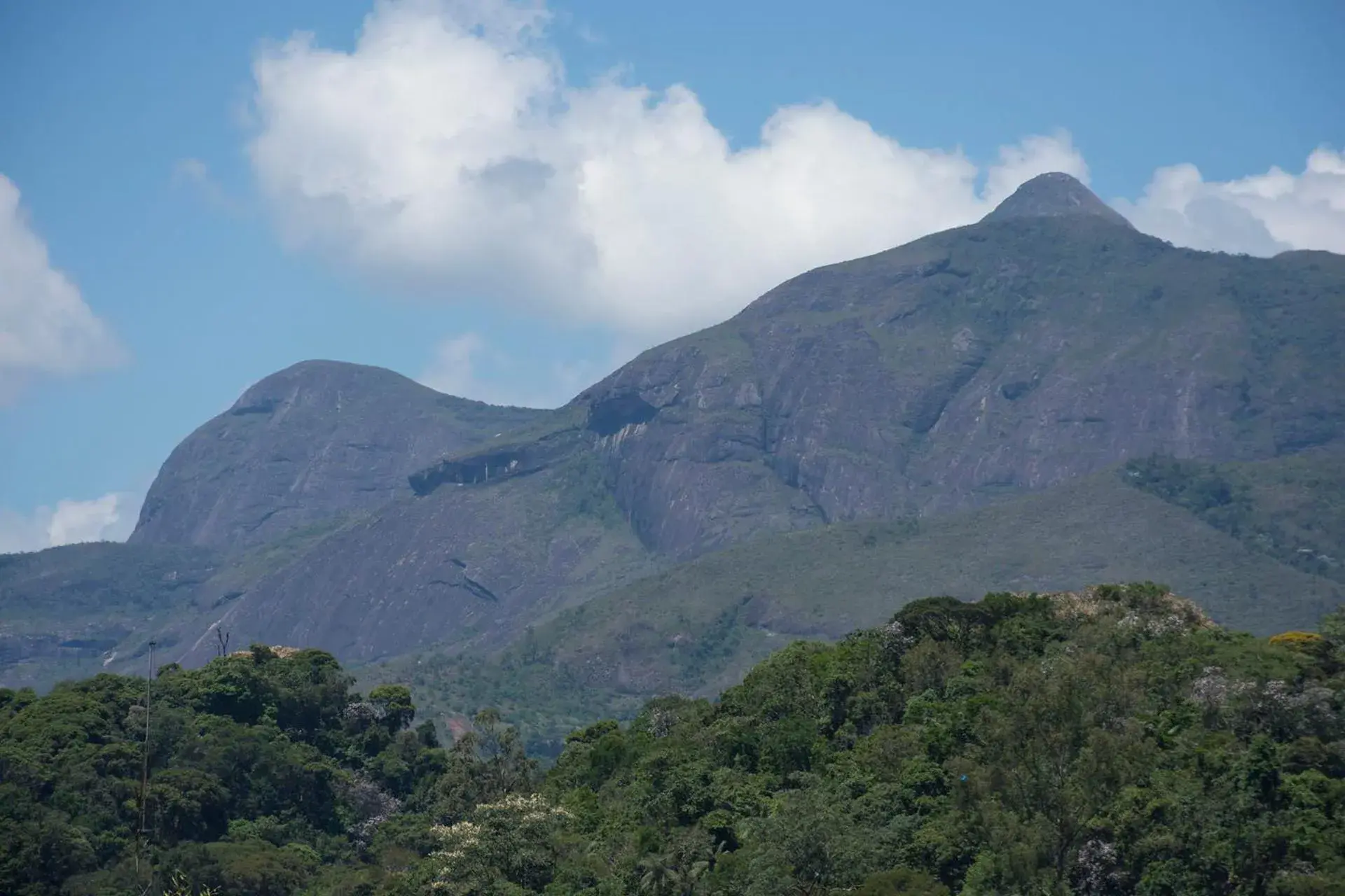 Apartment in FLAT 1008 Apartment in FLAT 1008