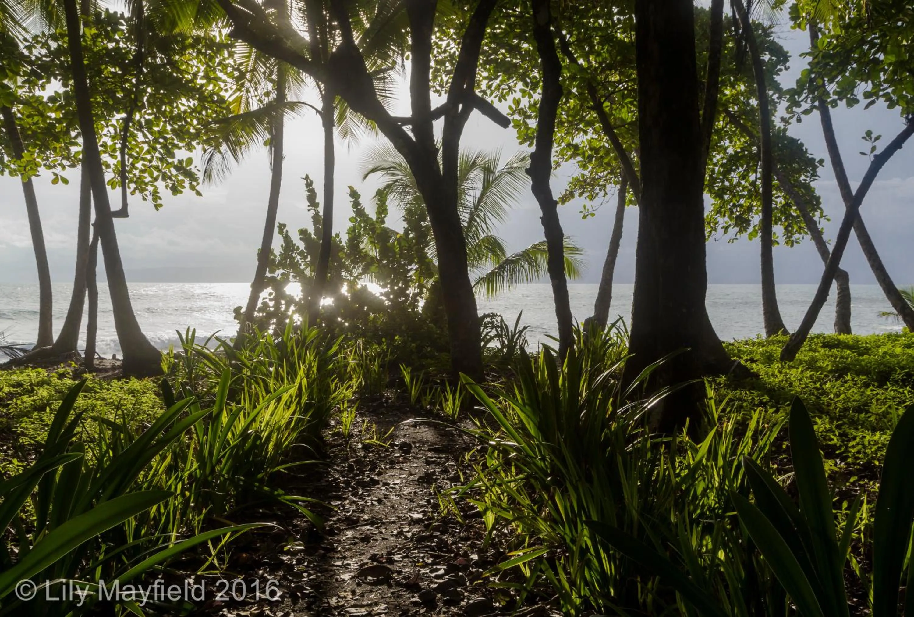 Natural landscape in La Ponderosa
