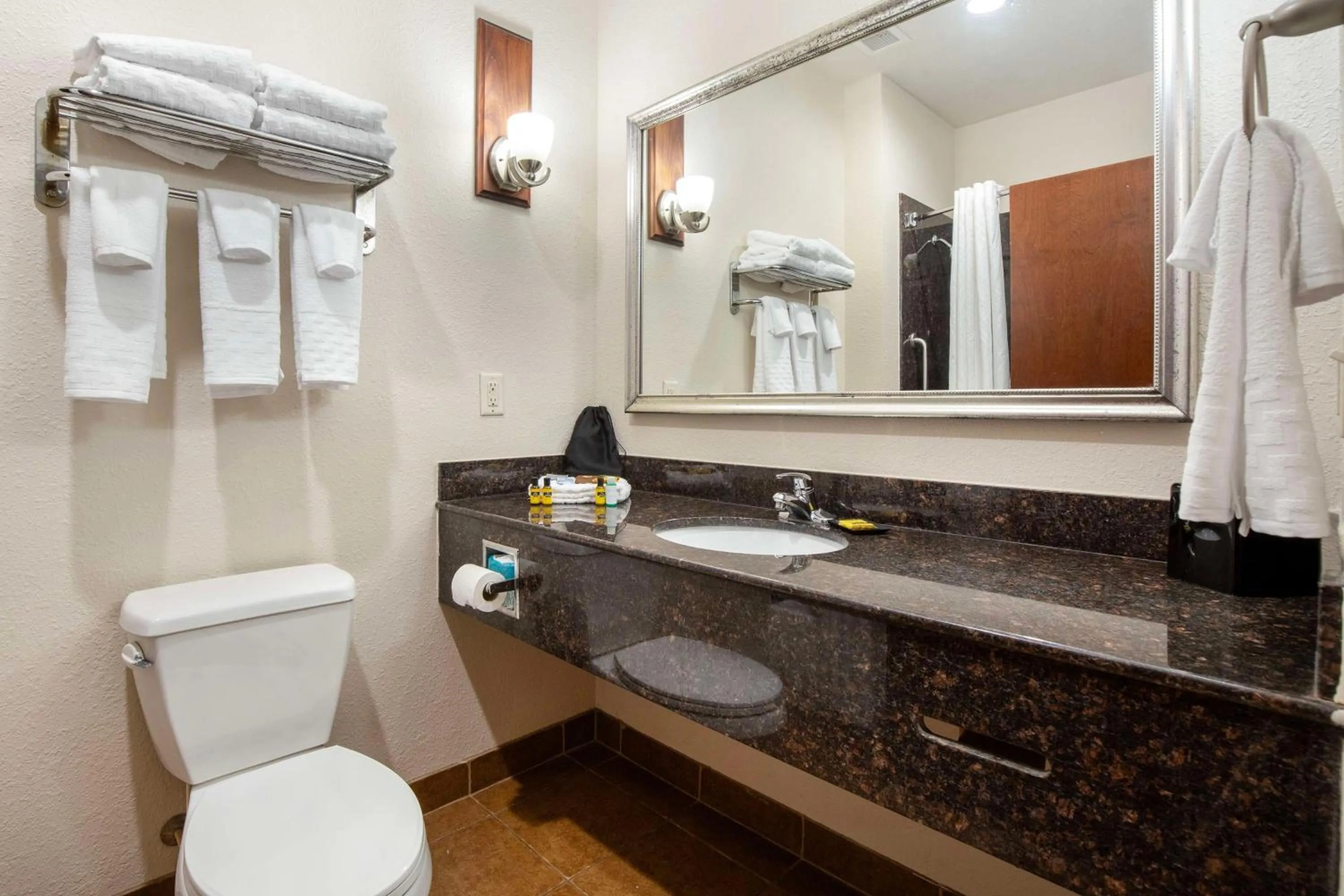 Bathroom in Best Western Plus Greenville South