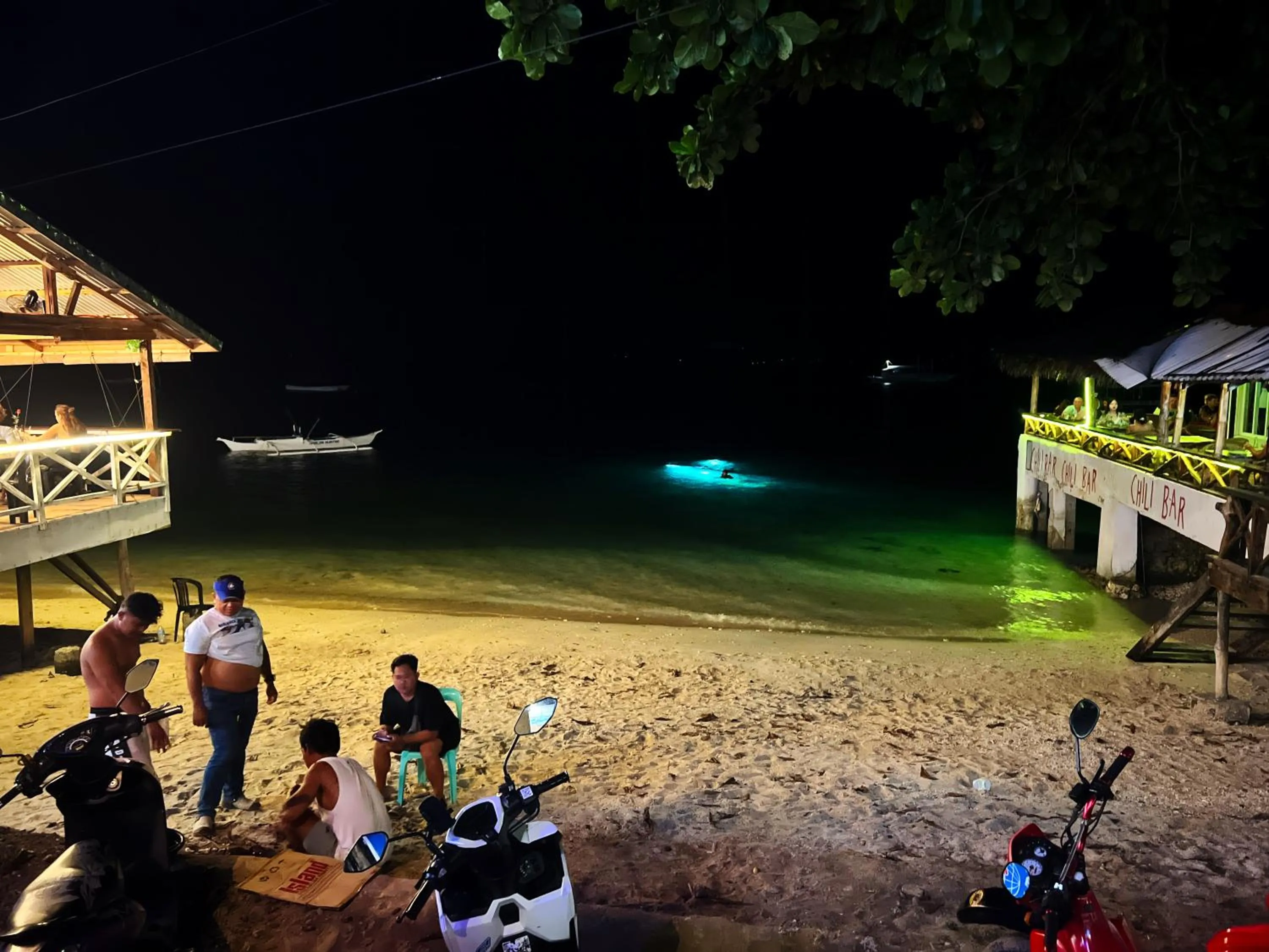 Diving in Neptune Diving Resort Moalboal