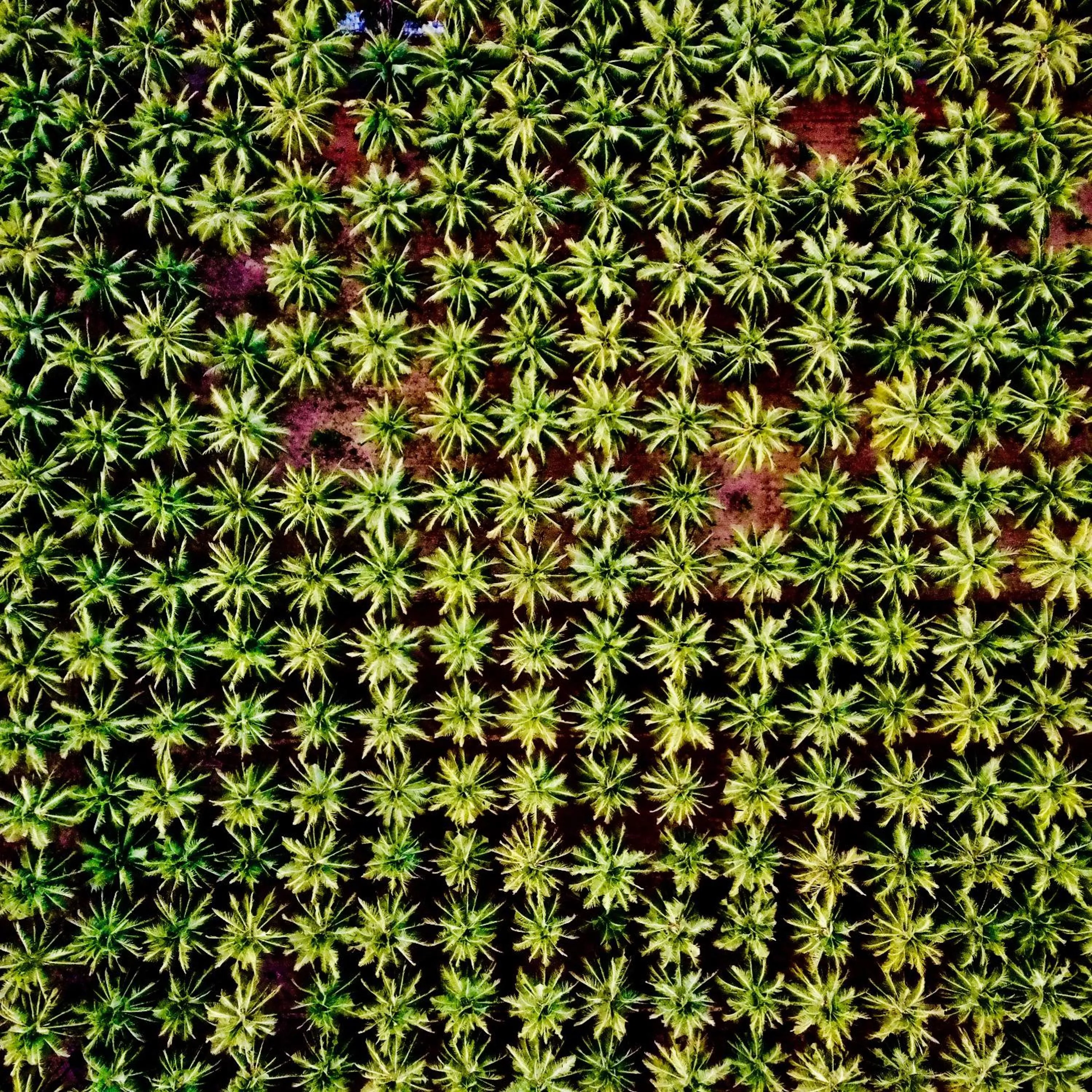 Natural landscape in Wind Blend Kite Resort