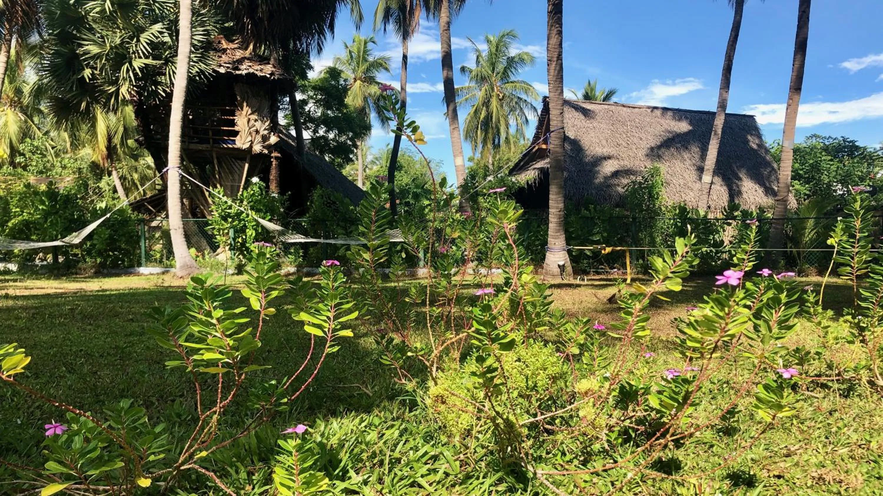 Garden in Wind Blend Kite Resort