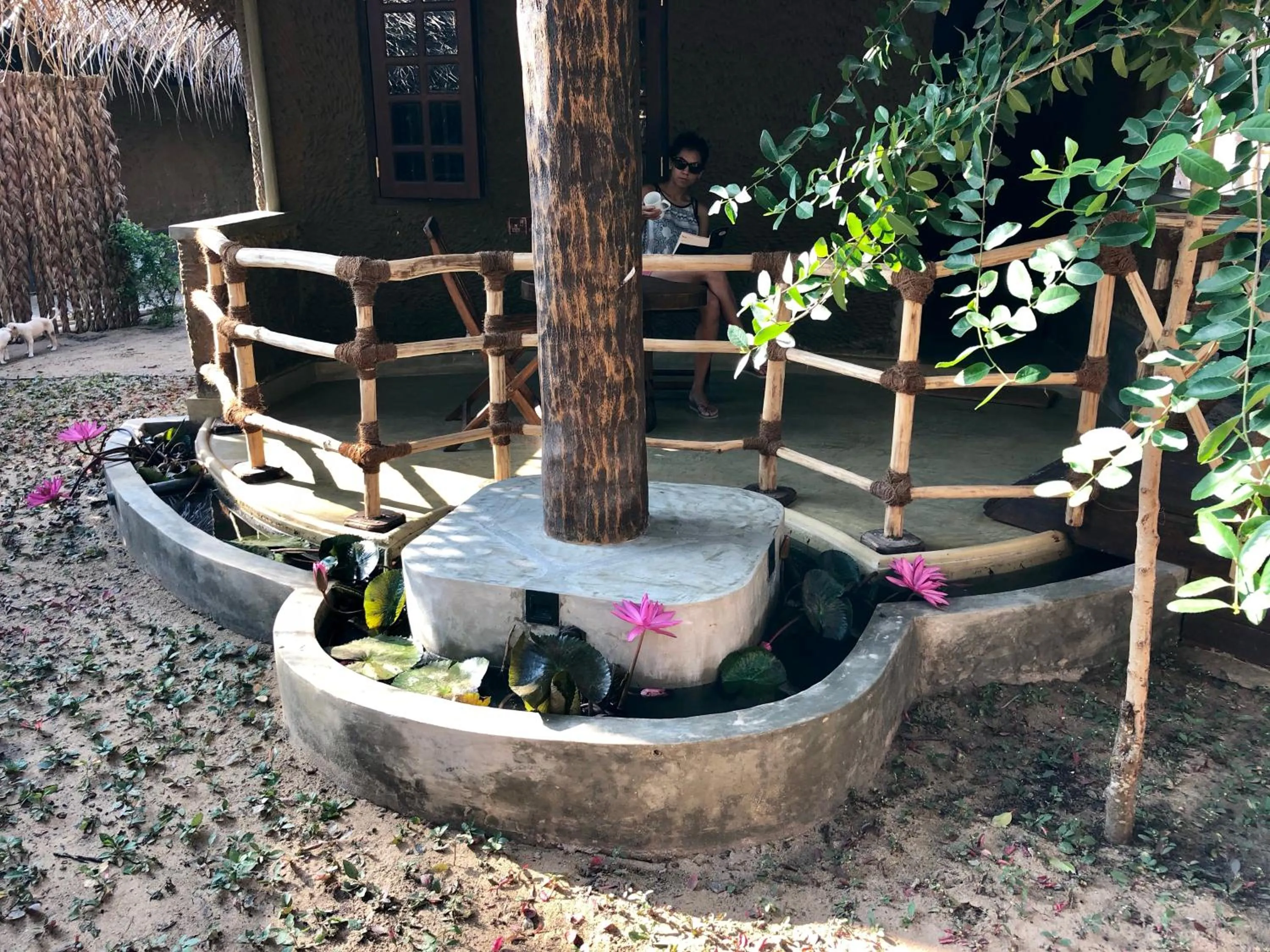 Garden in Wind Blend Kite Resort