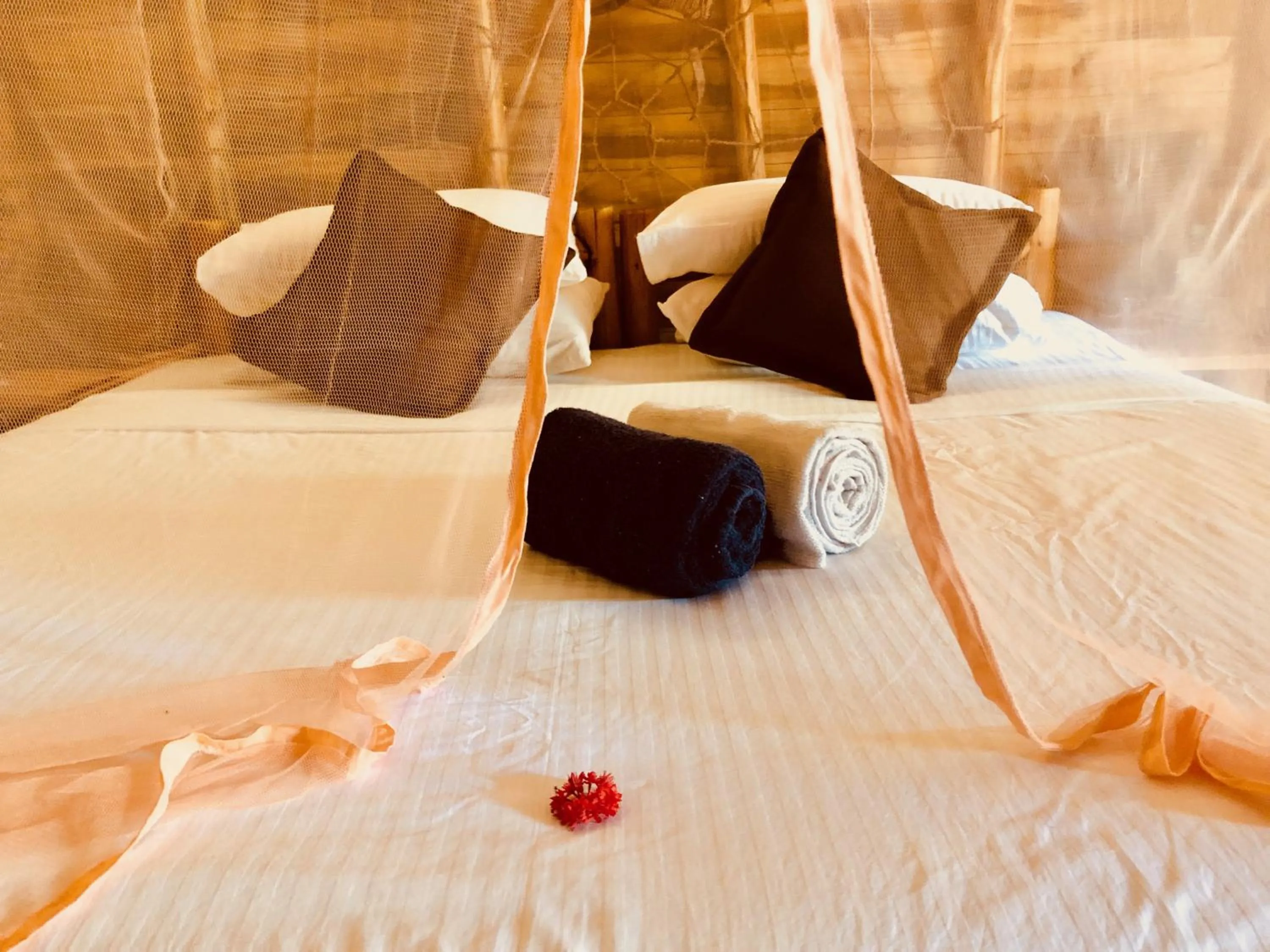 Bed in Wind Blend Kite Resort