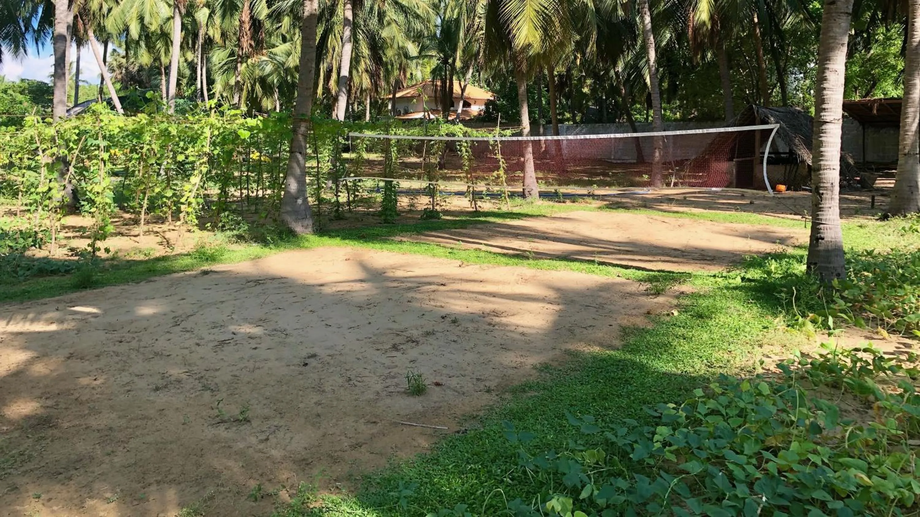 Tennis court in Wind Blend Kite Resort