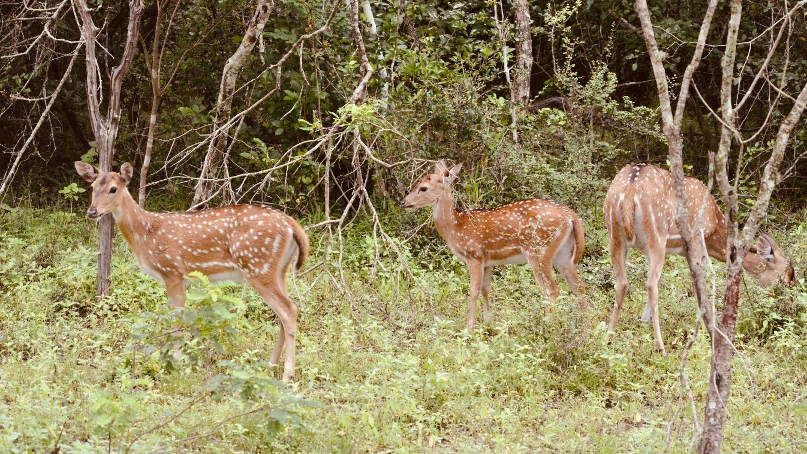 Natural landscape in Wind Blend Kite Resort