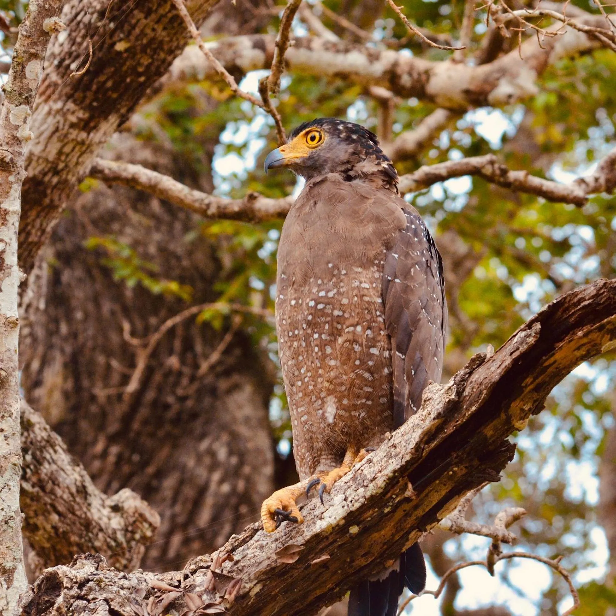 Natural landscape in Wind Blend Kite Resort