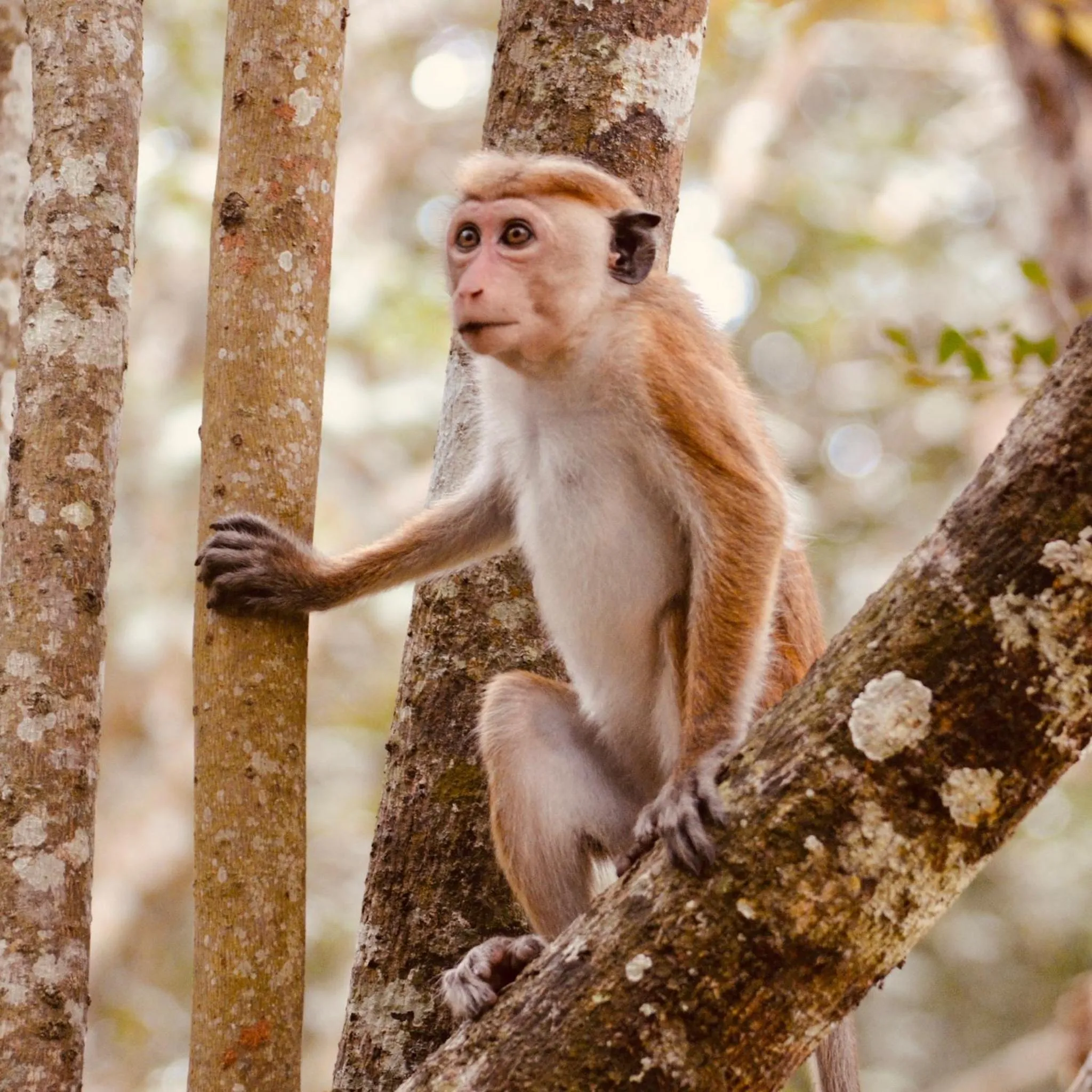 Natural landscape in Wind Blend Kite Resort