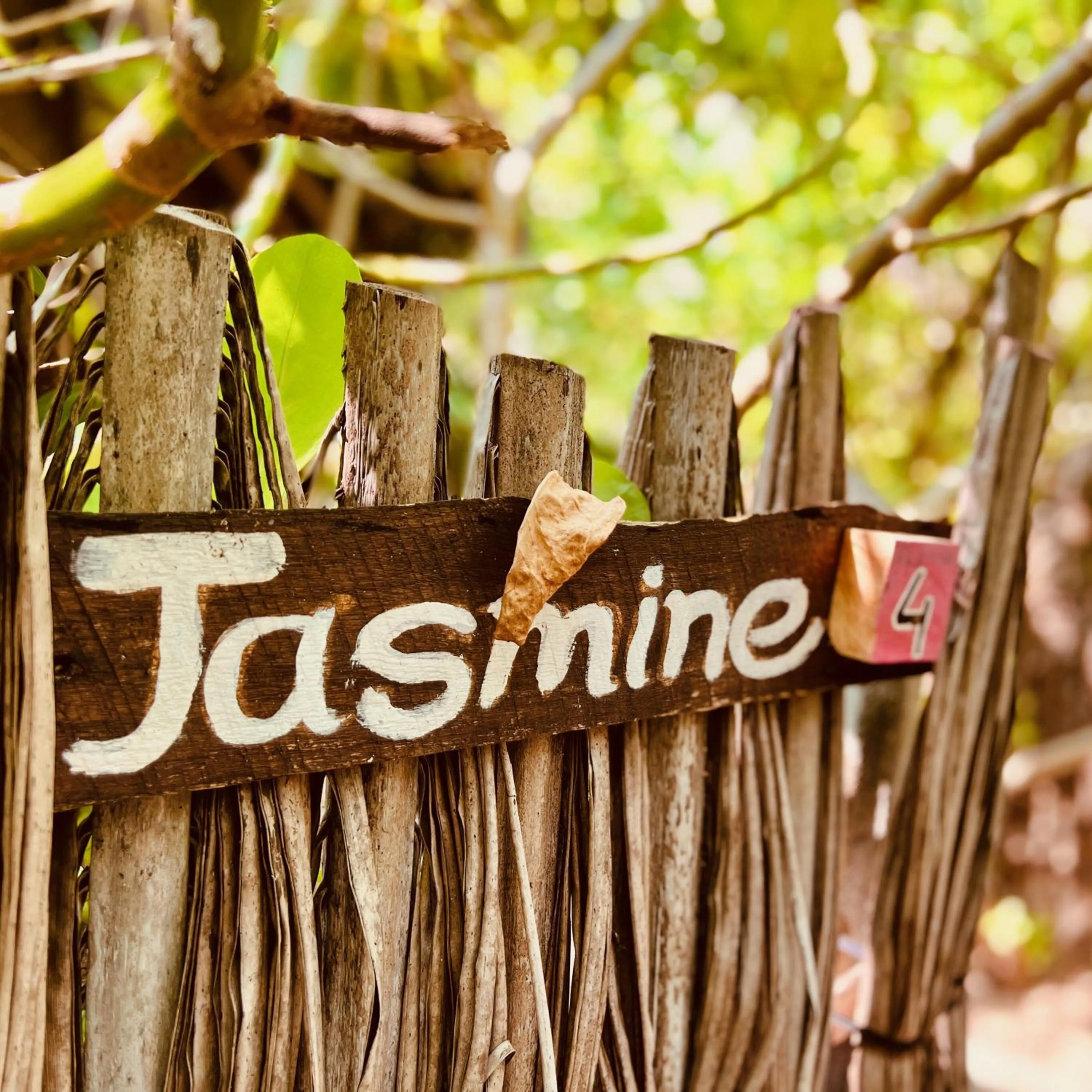 Day in Wind Blend Kite Resort