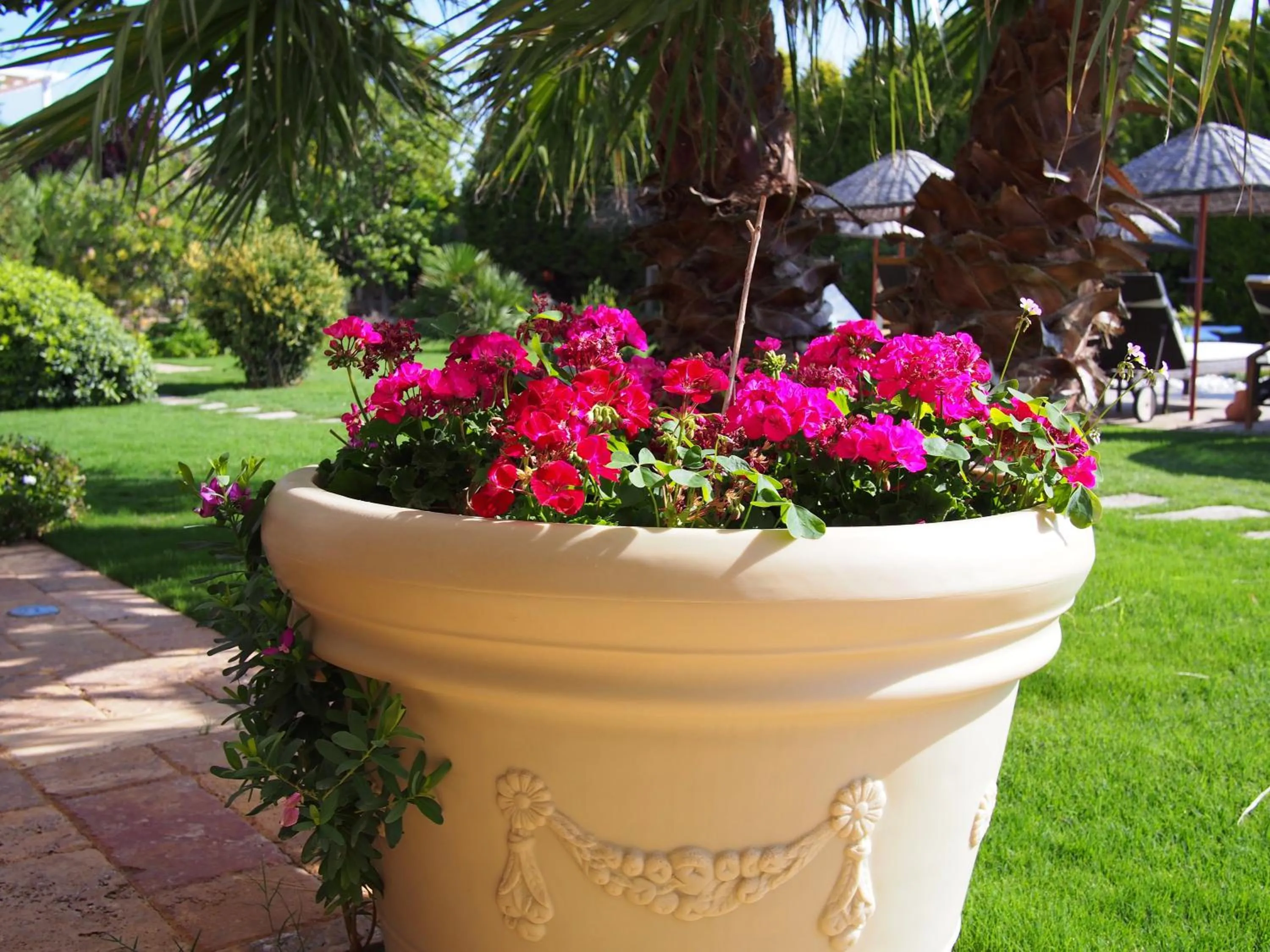 Garden in Alacati Kapari Hotel - Special Category