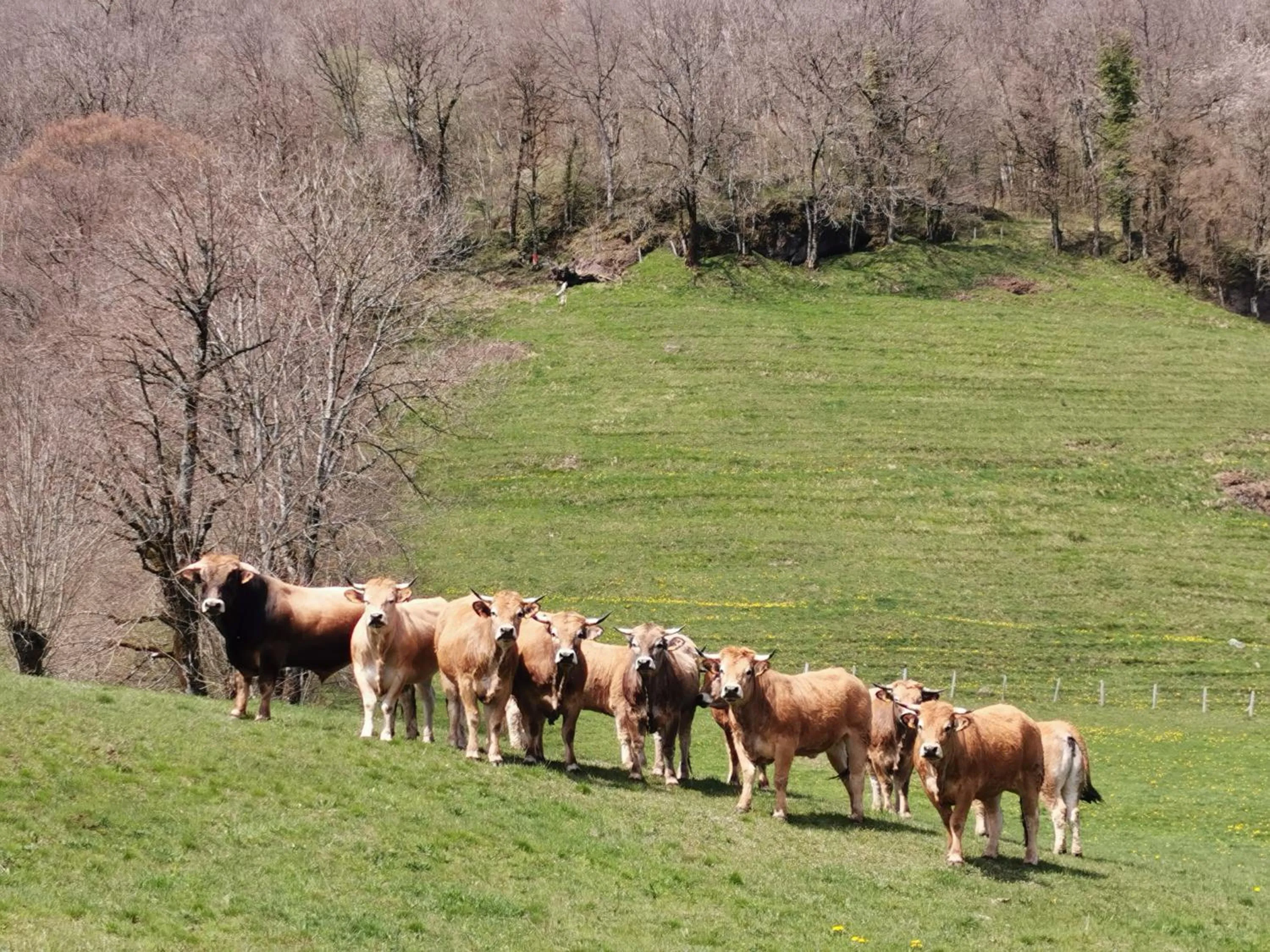Mountain view in Hotel bar b'rock