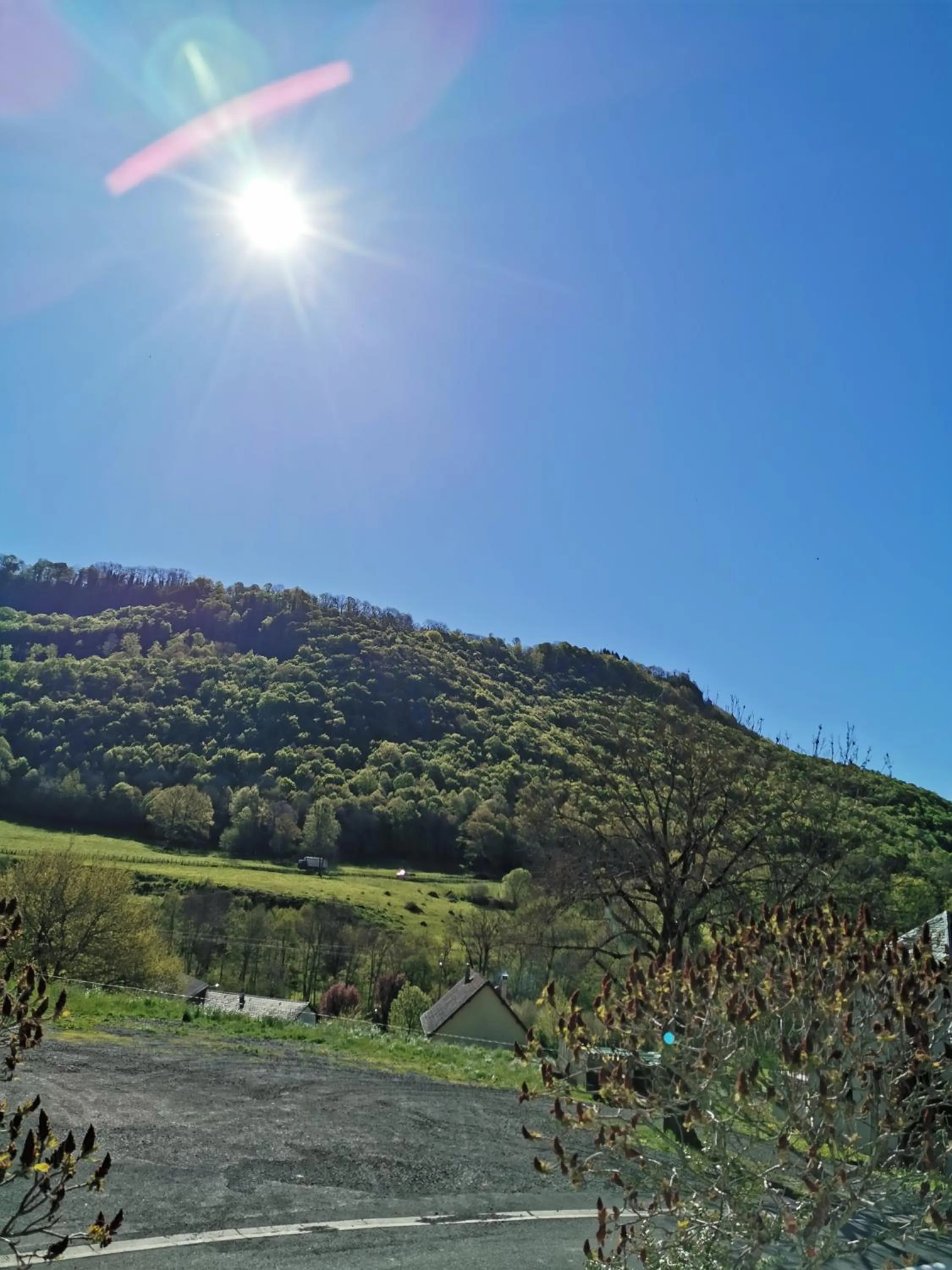 Natural landscape in Hotel bar b'rock