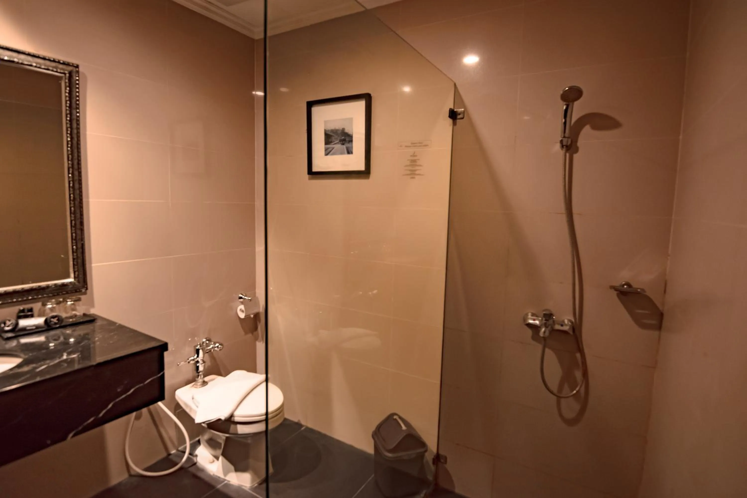 Shower in The Mirah Hotel Bogor