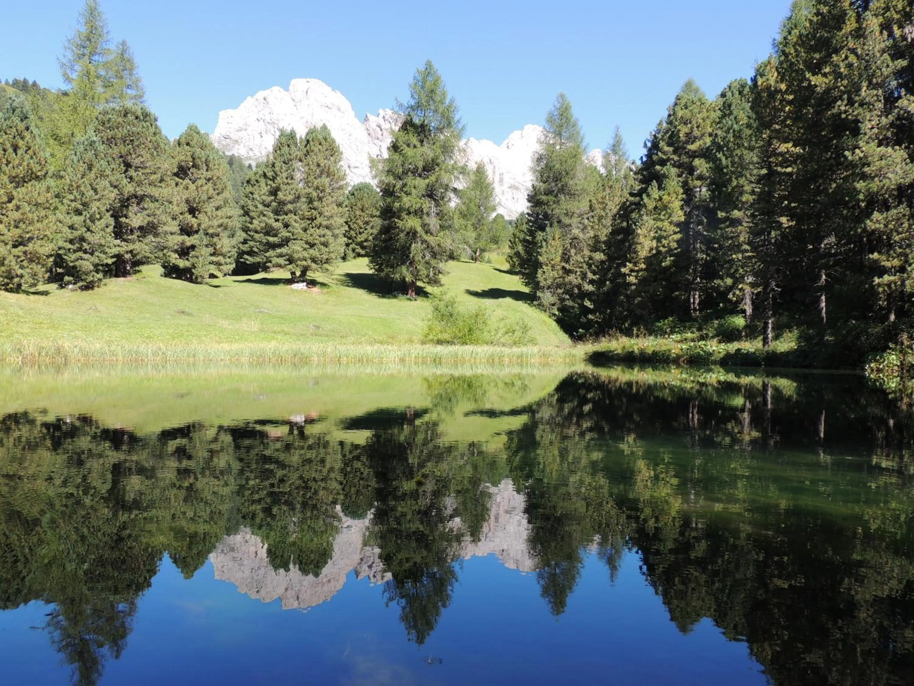 Natural landscape in Hotel Chalet Dlaces