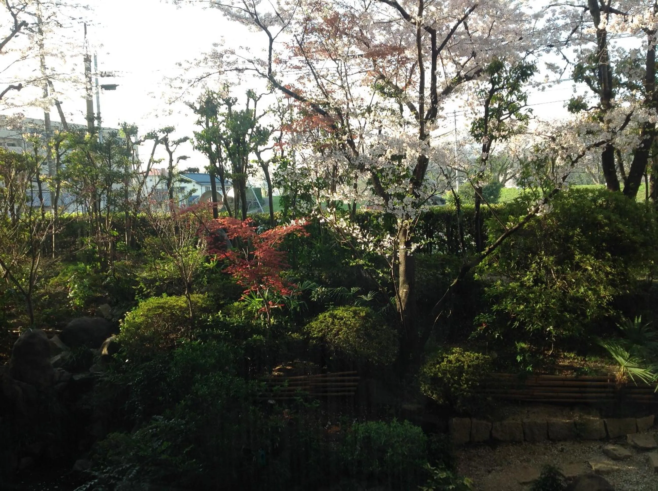 Garden in Okayama Plaza Hotel