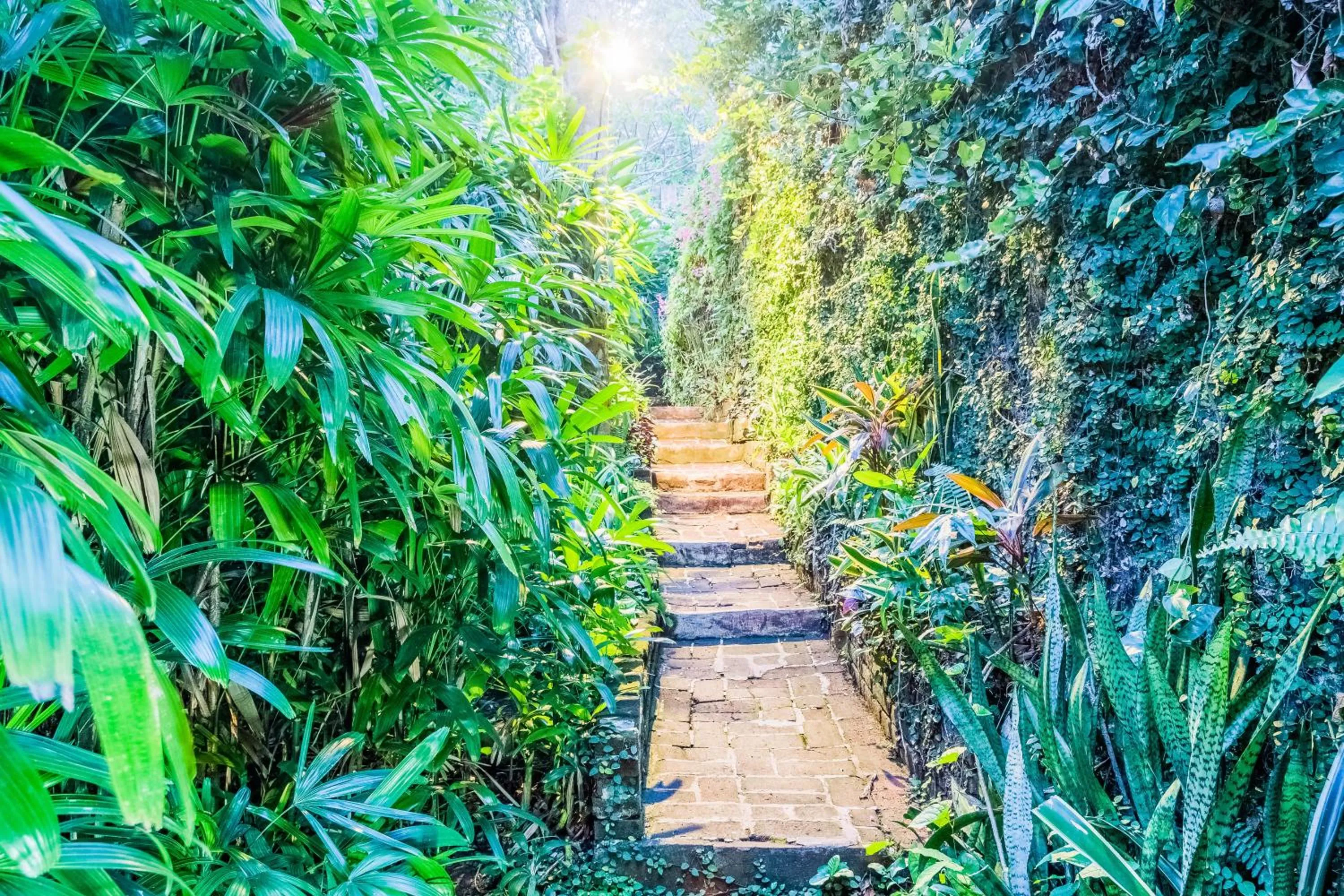 Garden in The Water Garden Hotel