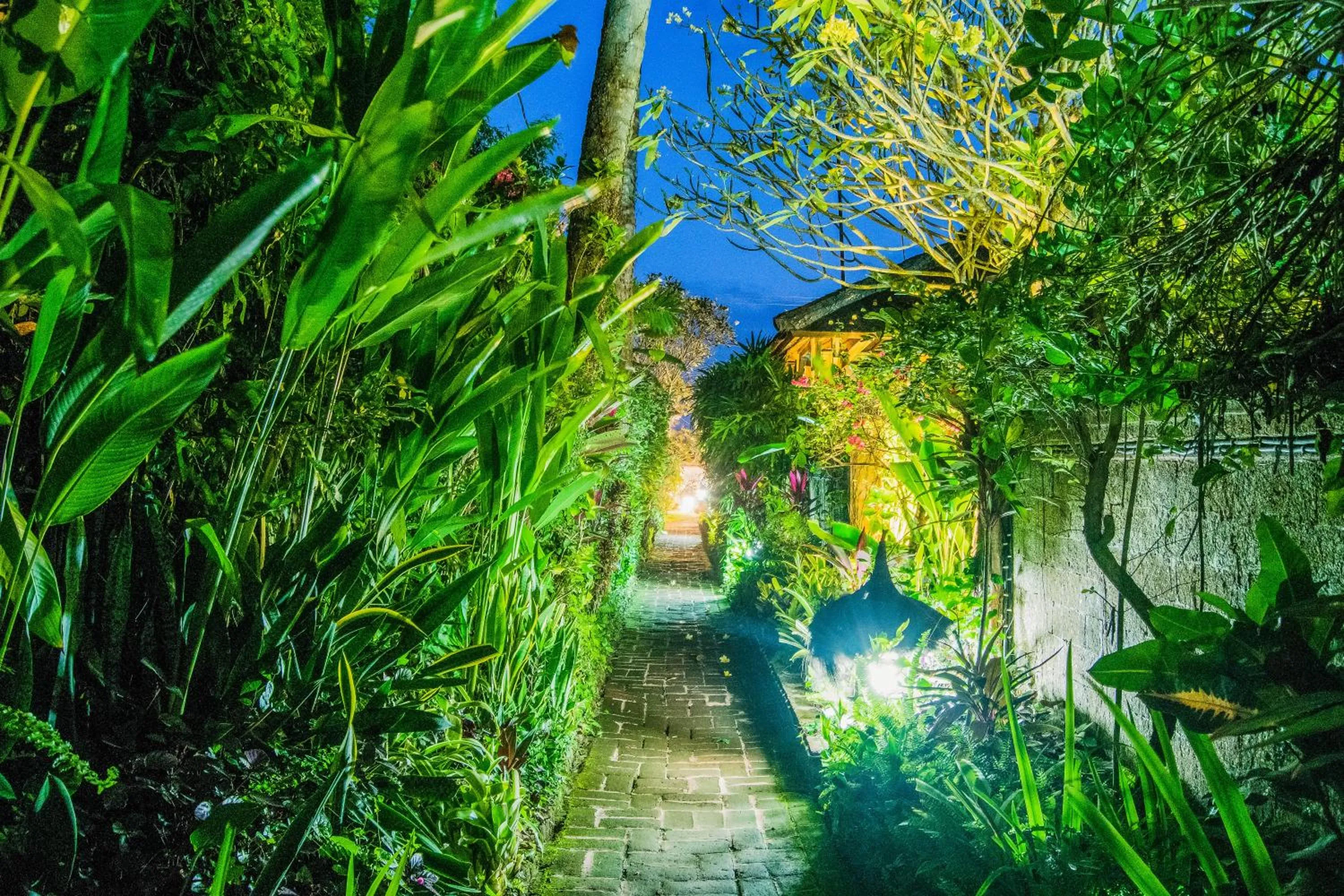 Garden in The Water Garden Hotel