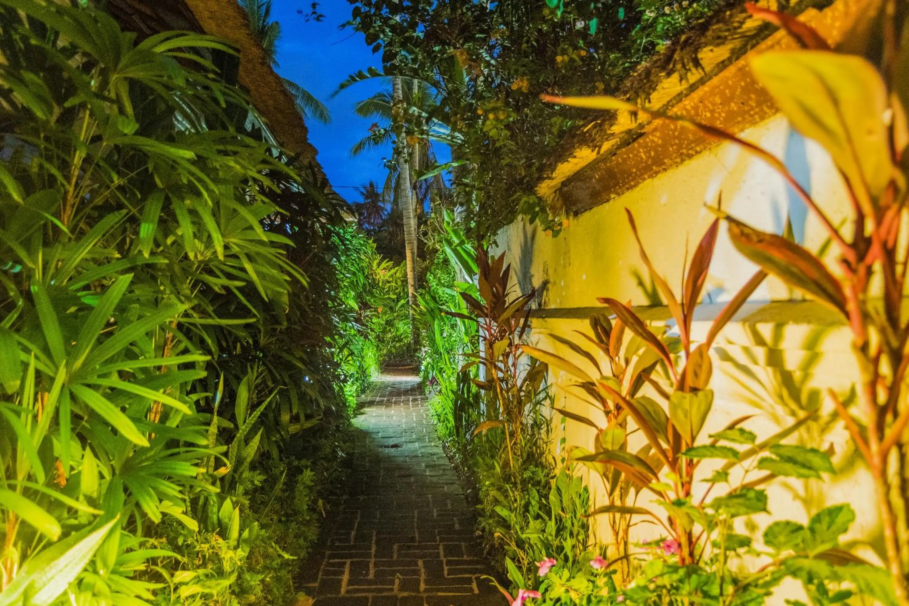 Garden in The Water Garden Hotel