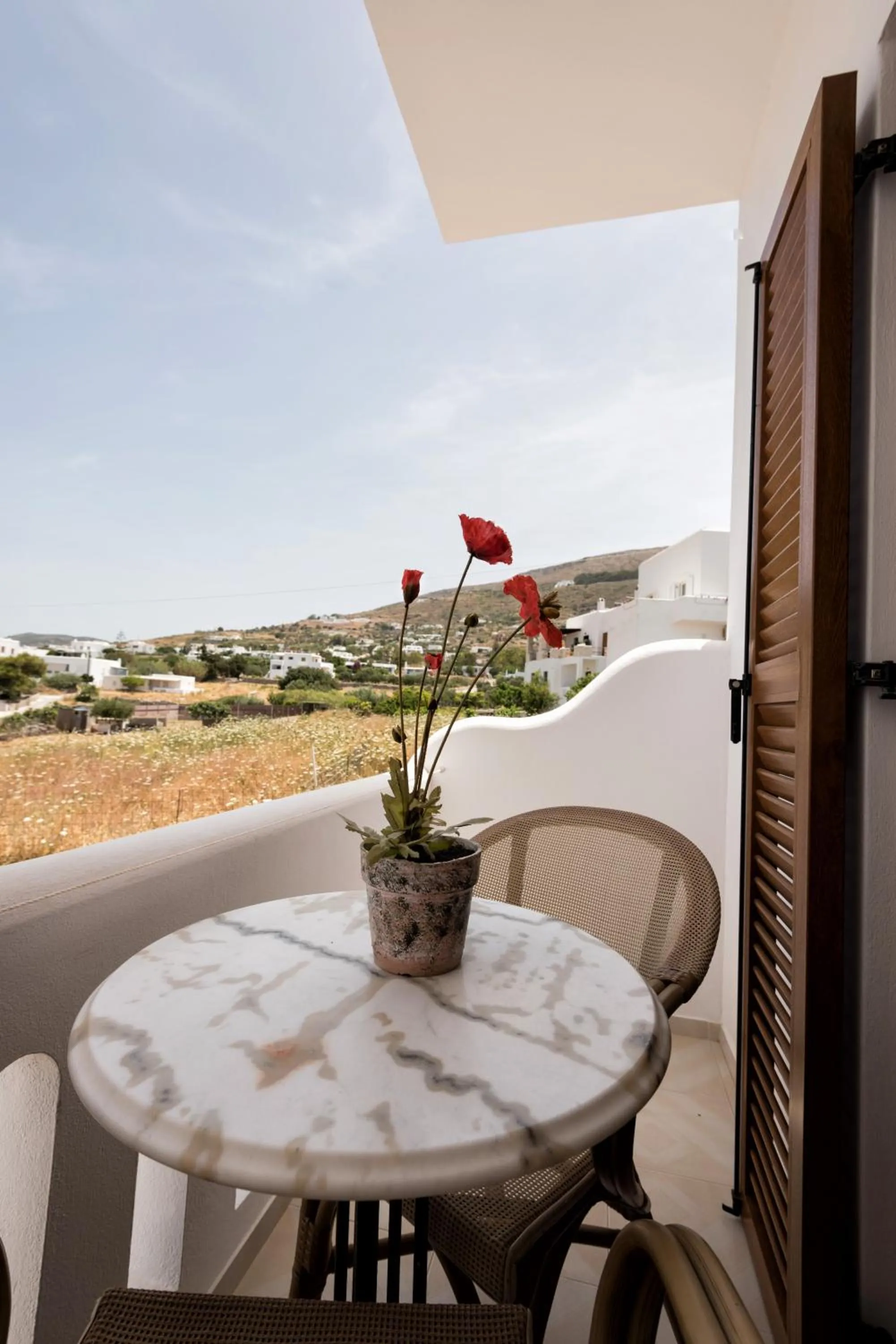 Garden in Panos Luxury Studios