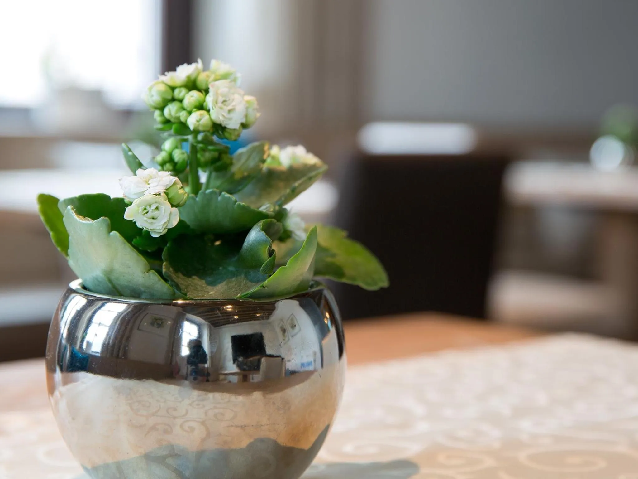 Communal lounge/ TV room in Hotel Blitzburg