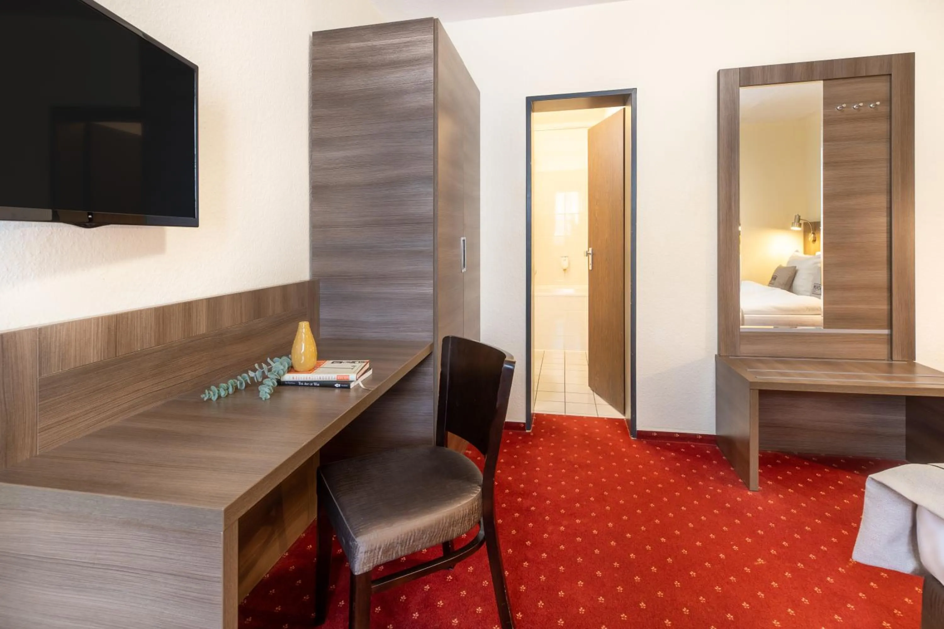 TV and multimedia in Hotel Leonet
