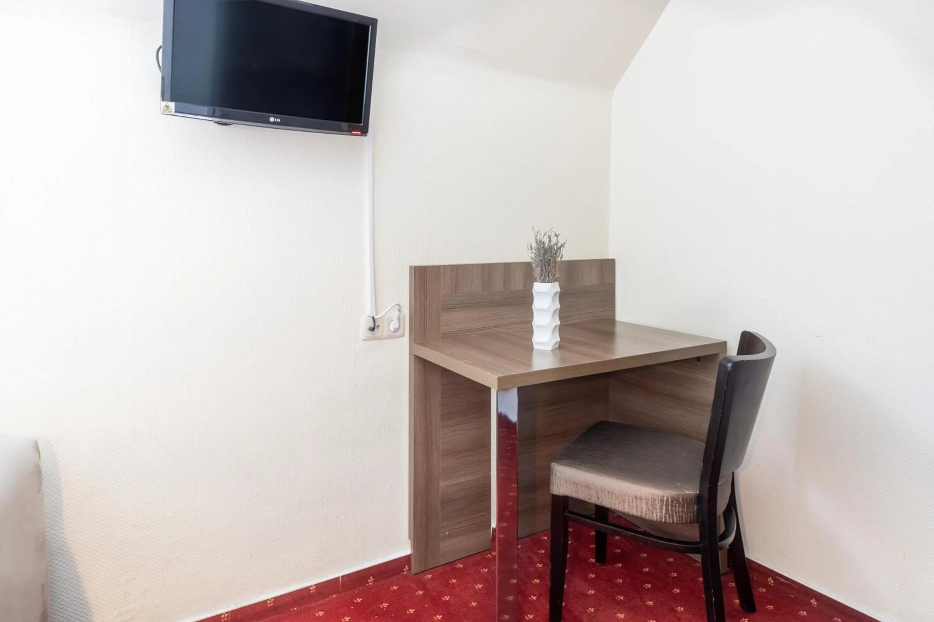 TV and multimedia in Hotel Leonet