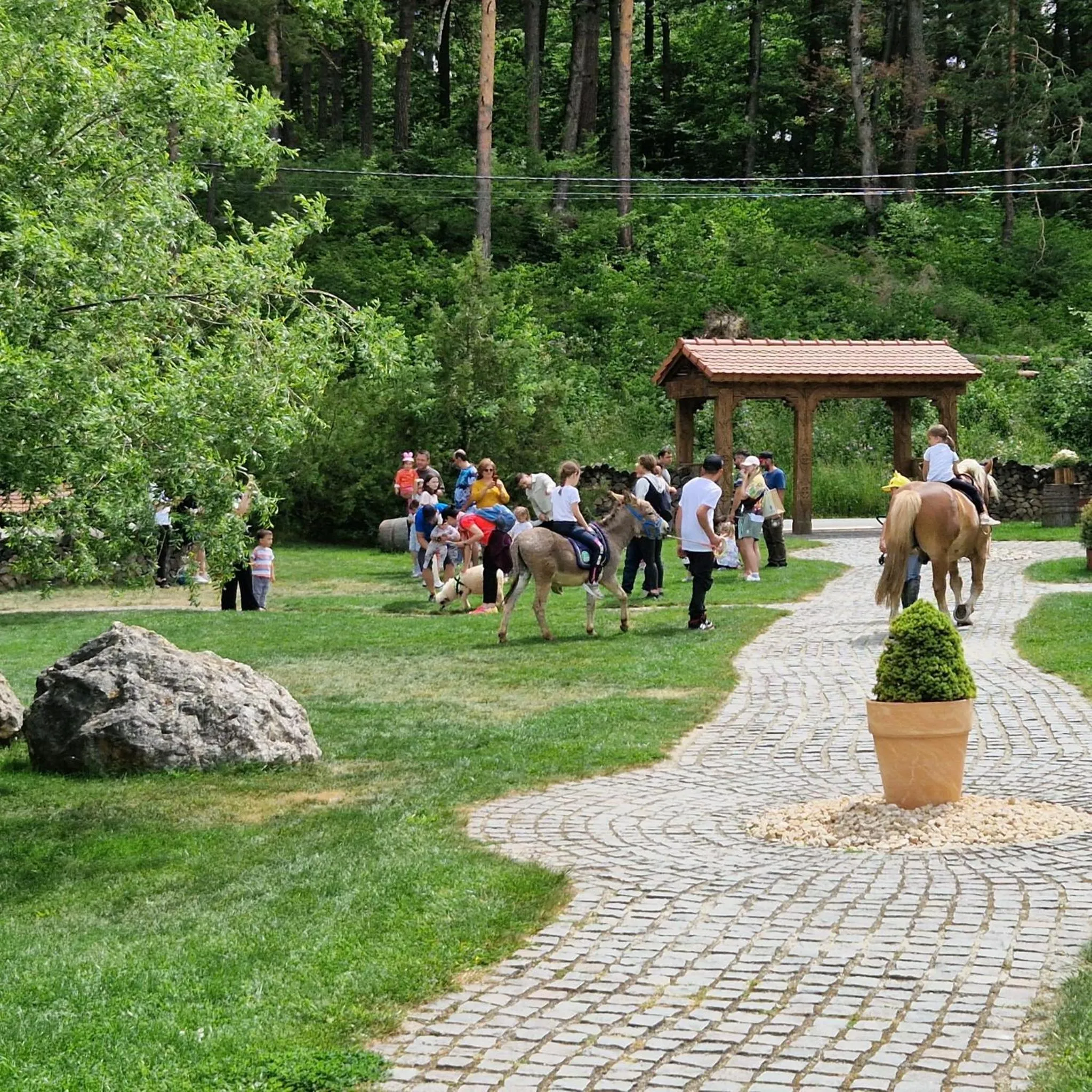 Activities in Wolkendorf Bio Hotel & Spa