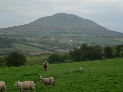 The Draen Bed and Breakfast