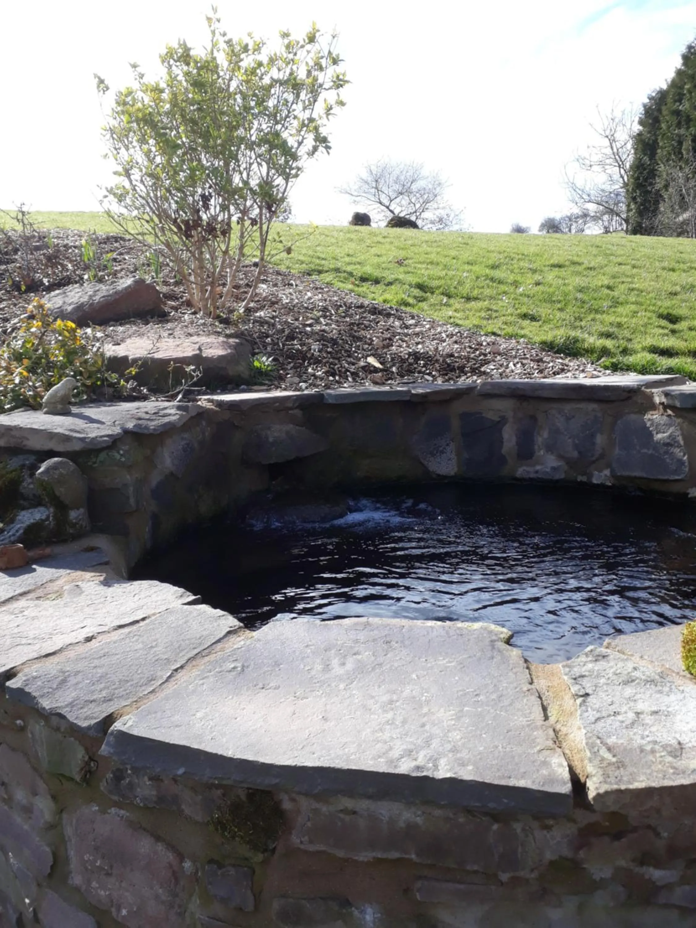 The Draen Bed and Breakfast