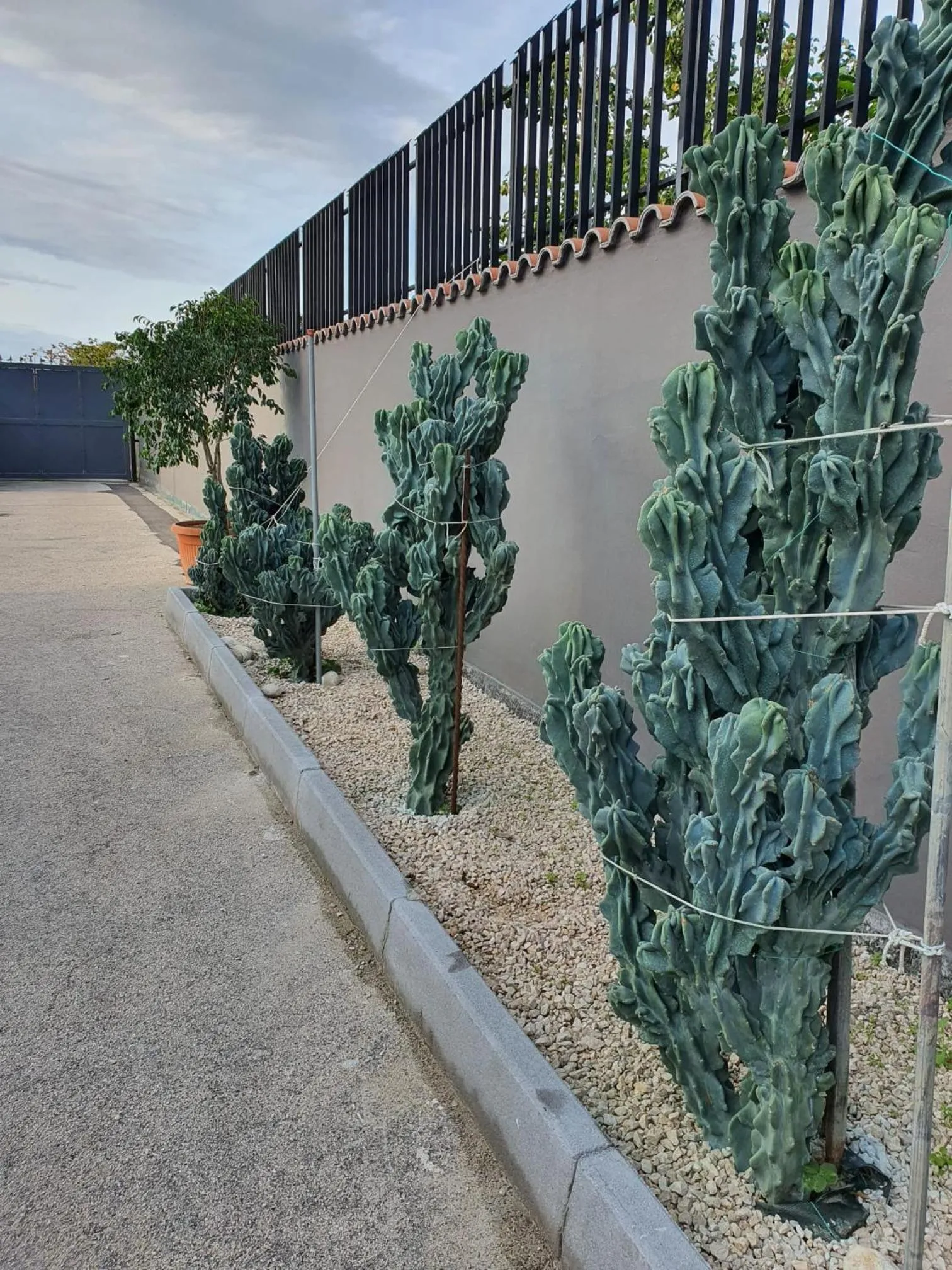 Property building in Bed & Breakfast Neapolis