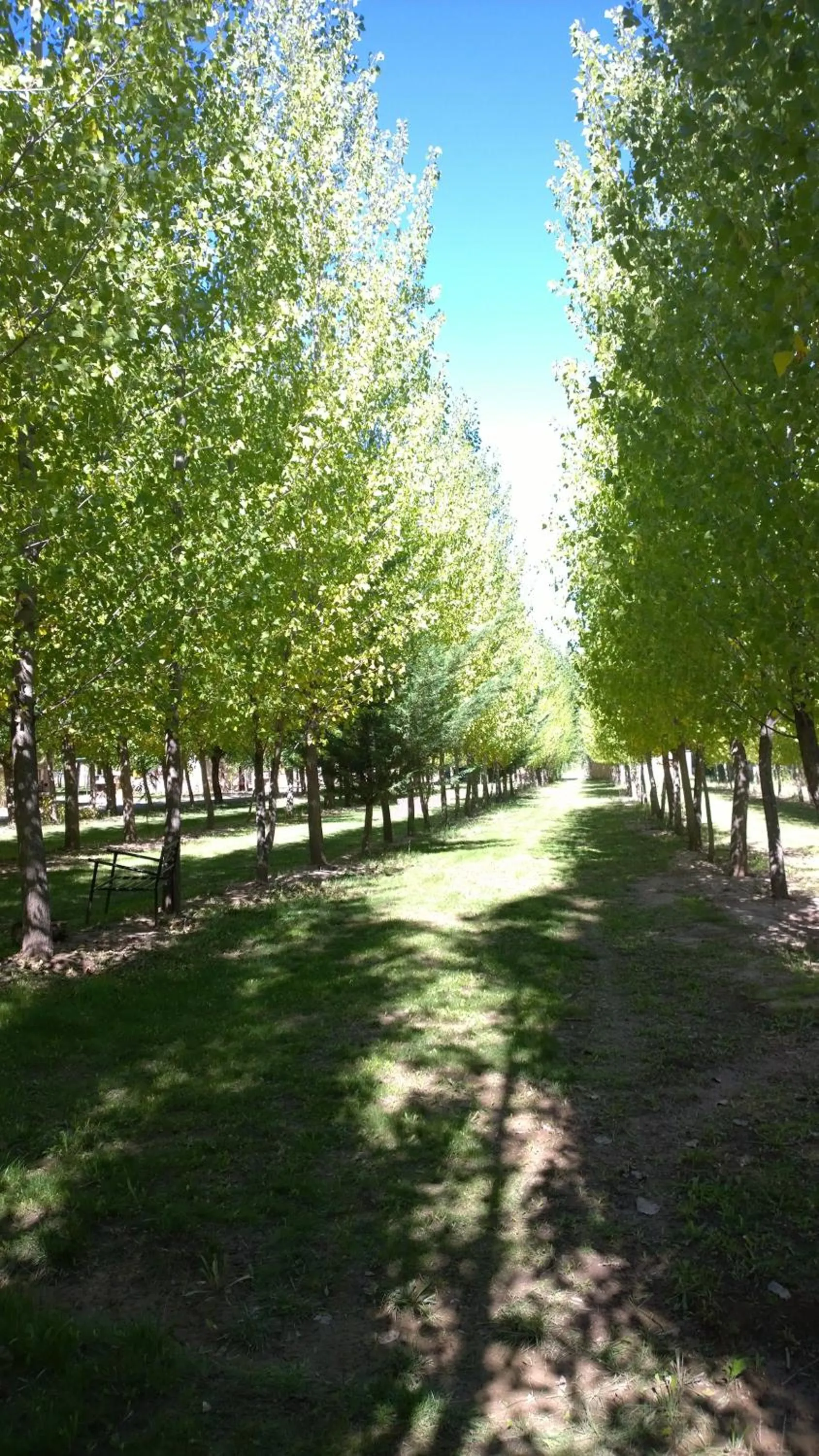 Natural landscape in Cabañas Uspallata