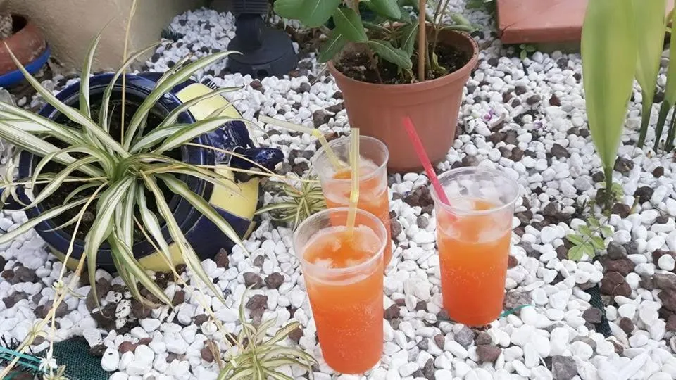 Alcoholic drinks in Villa Milici