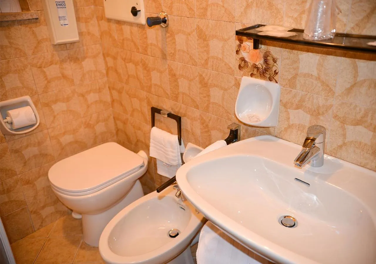 Shower in Hotel Regina Delle Dolomiti