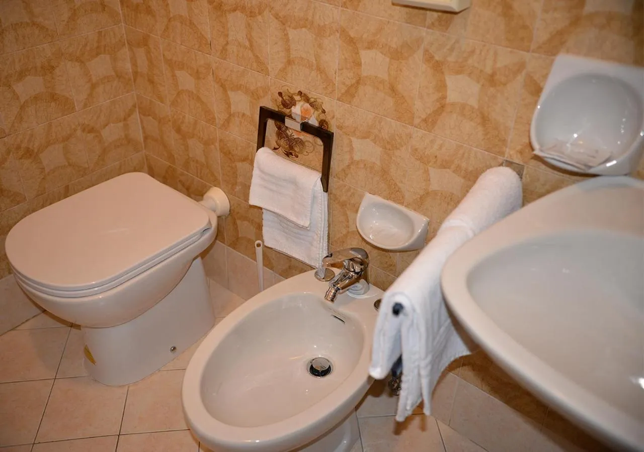 Shower in Hotel Regina Delle Dolomiti